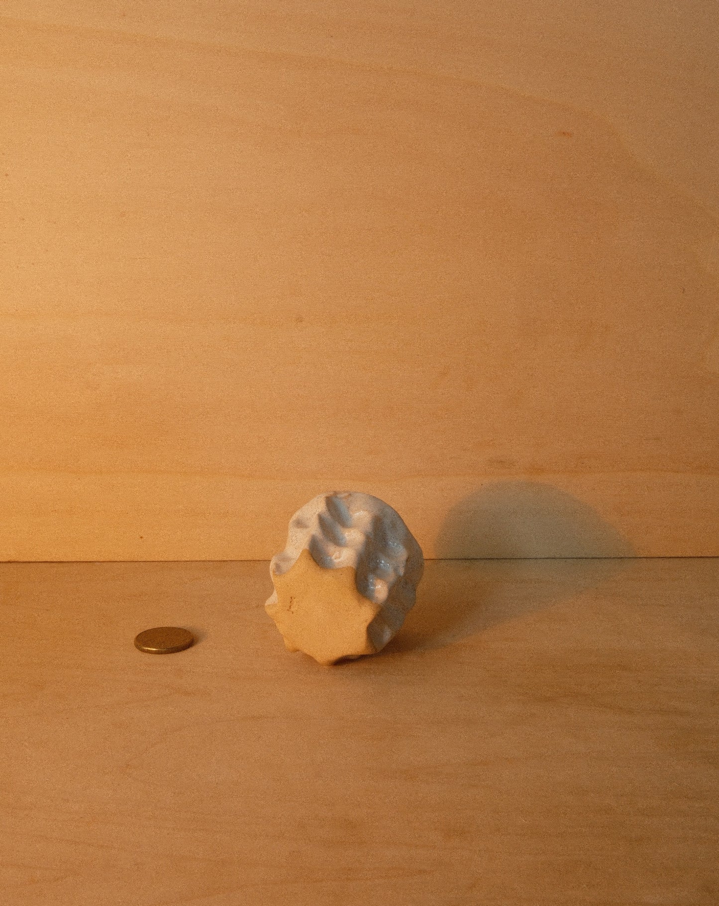 WHITE MOREL CUP 003