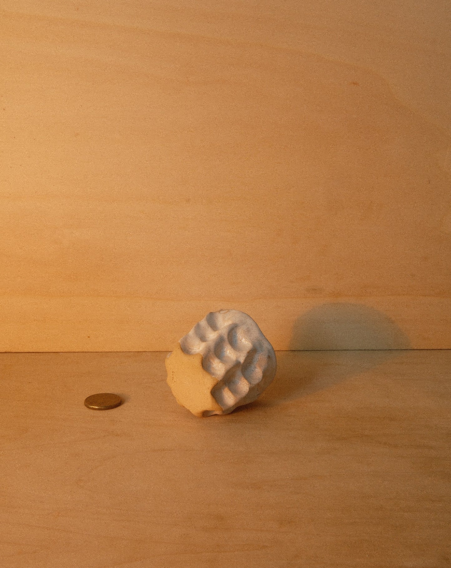 WHITE MOREL CUP 003