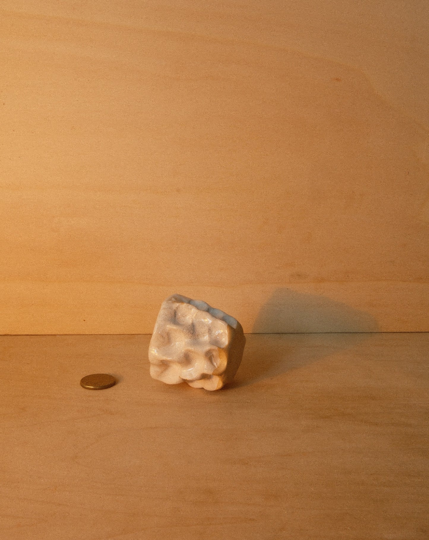 WHITE MOREL CUP 003