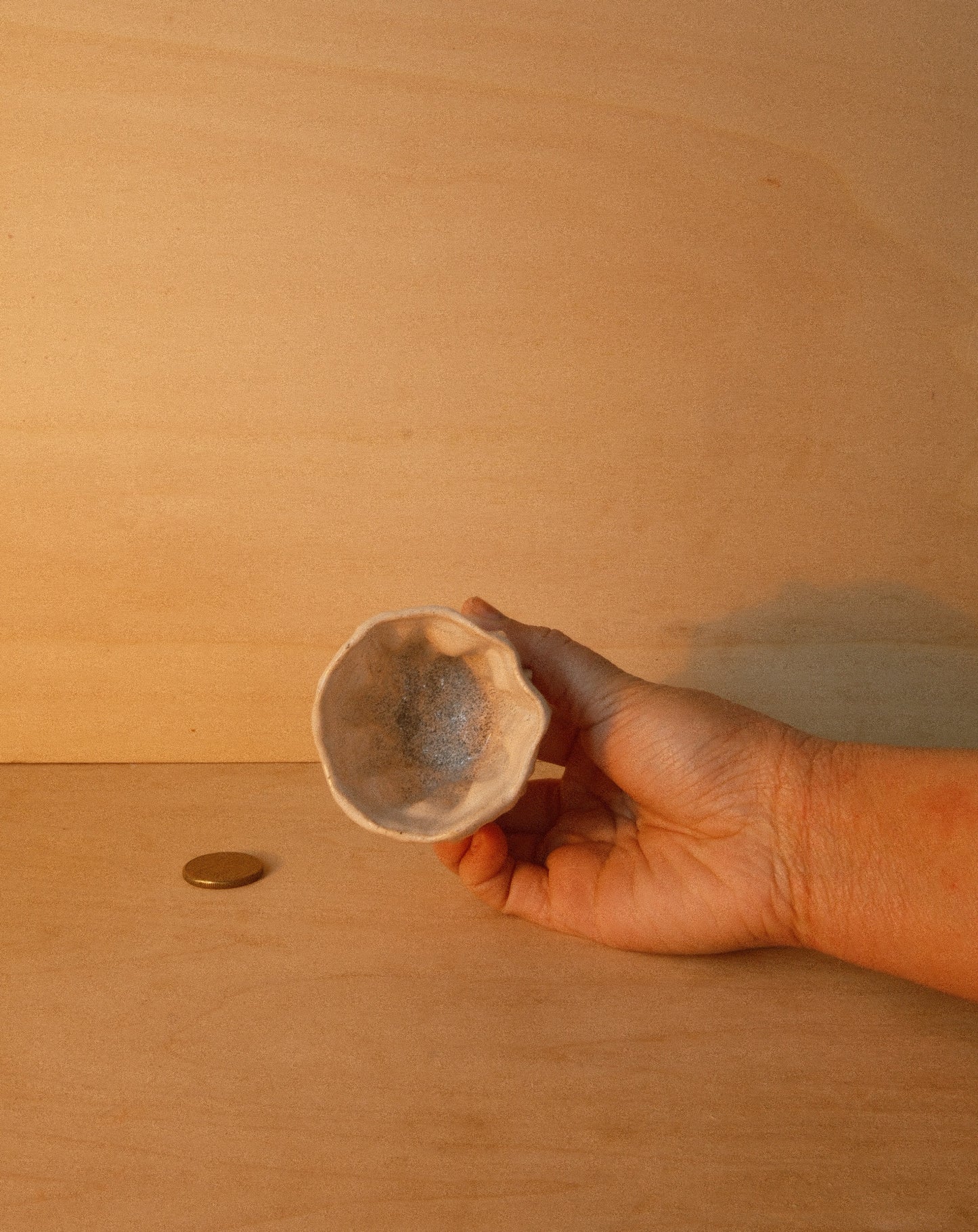 WHITE MOREL CUP 003