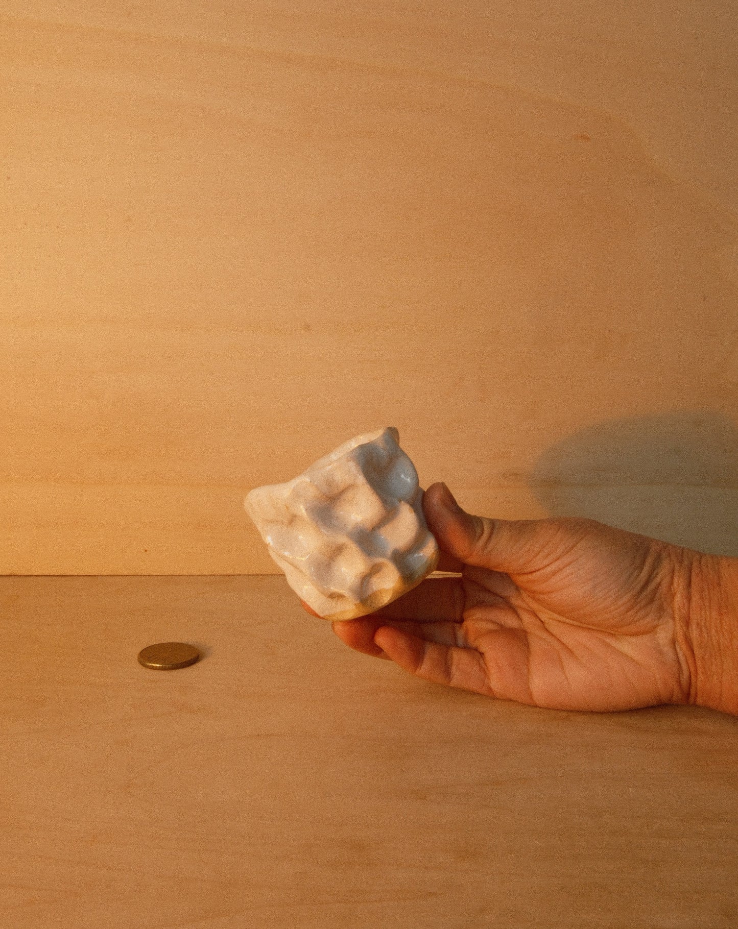 WHITE MOREL CUP 003