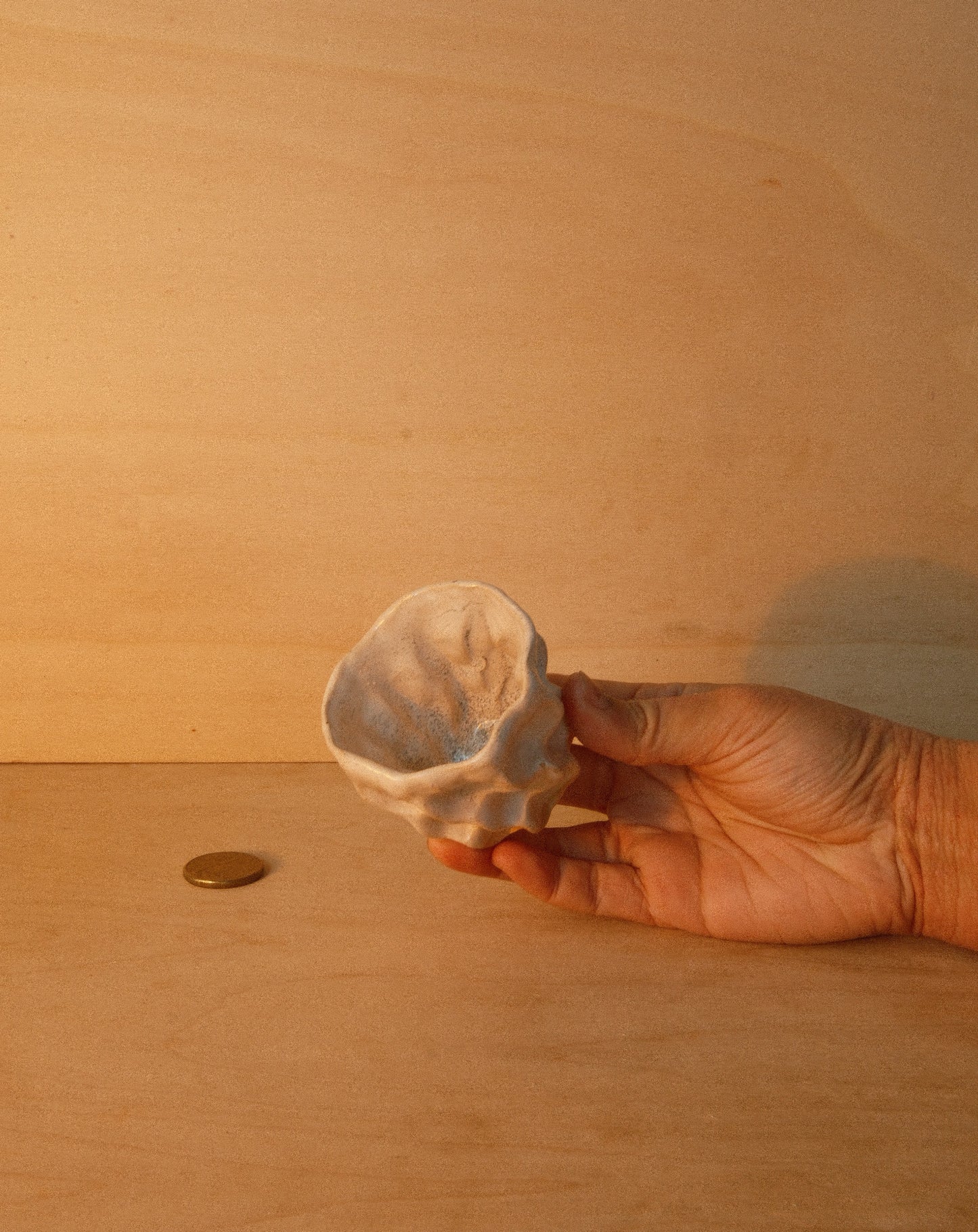 WHITE MOREL CUP 003