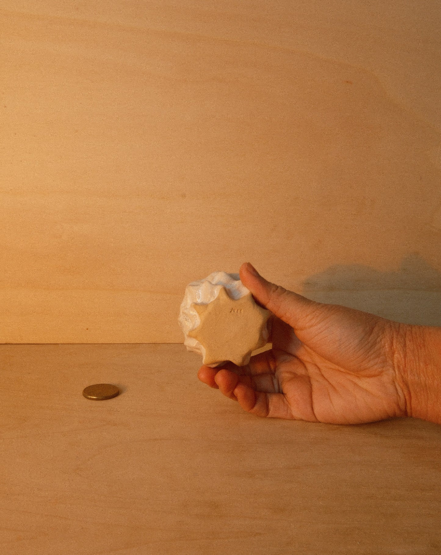WHITE MOREL CUP 003