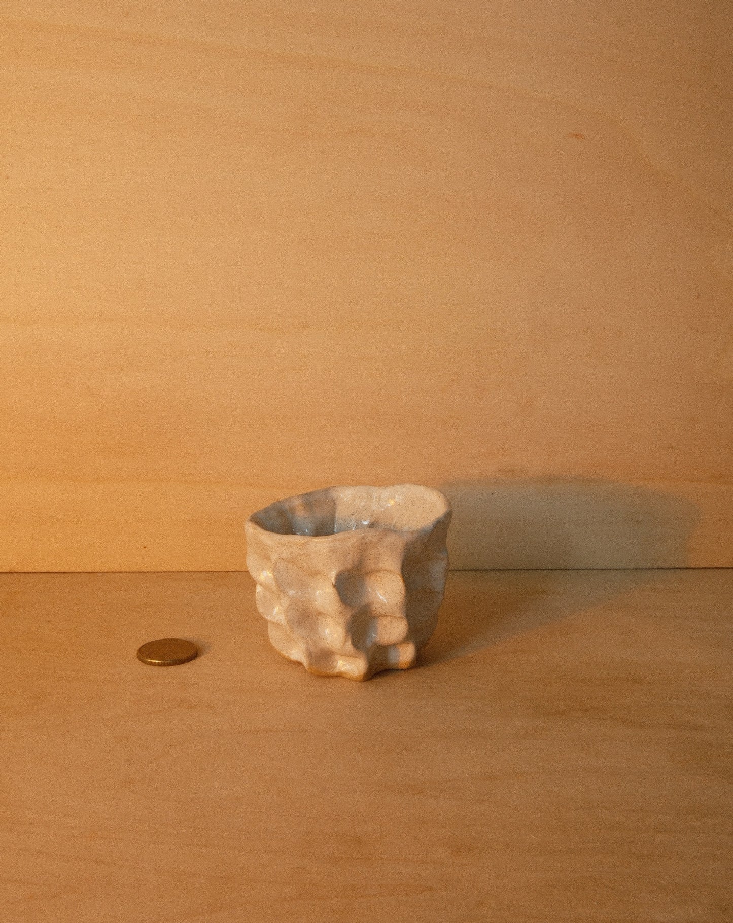 WHITE MOREL CUP 004
