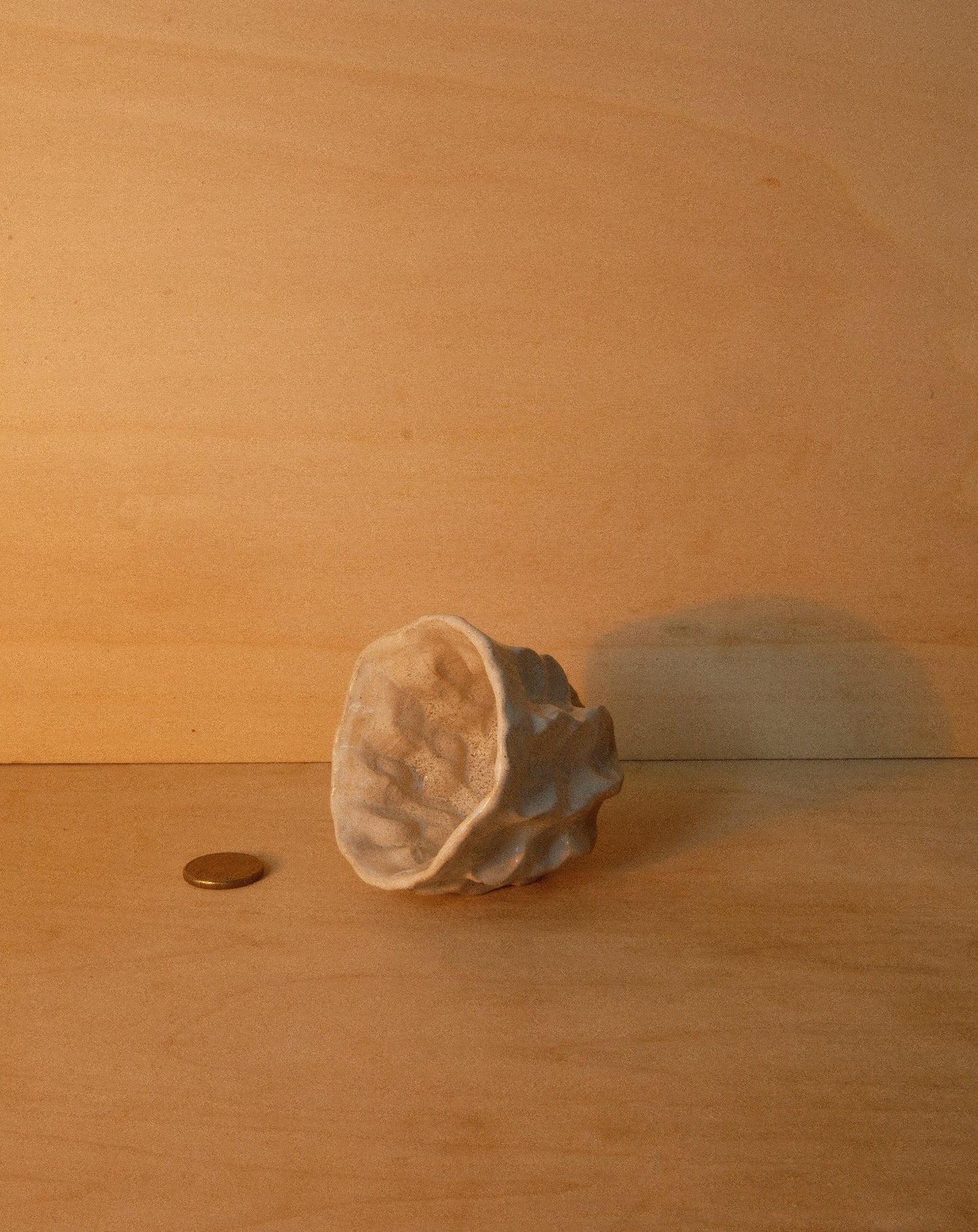WHITE MOREL CUP 004