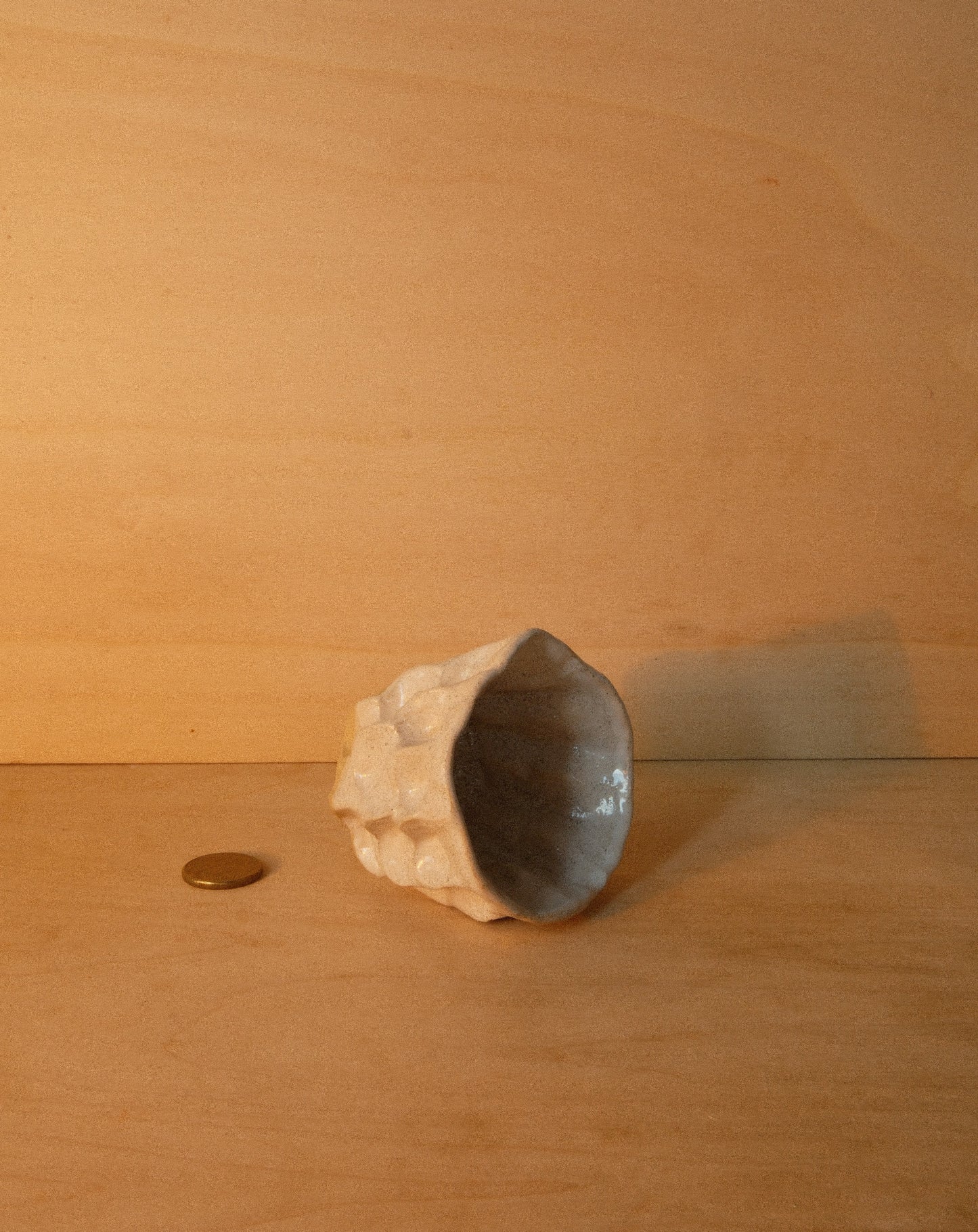 WHITE MOREL CUP 004