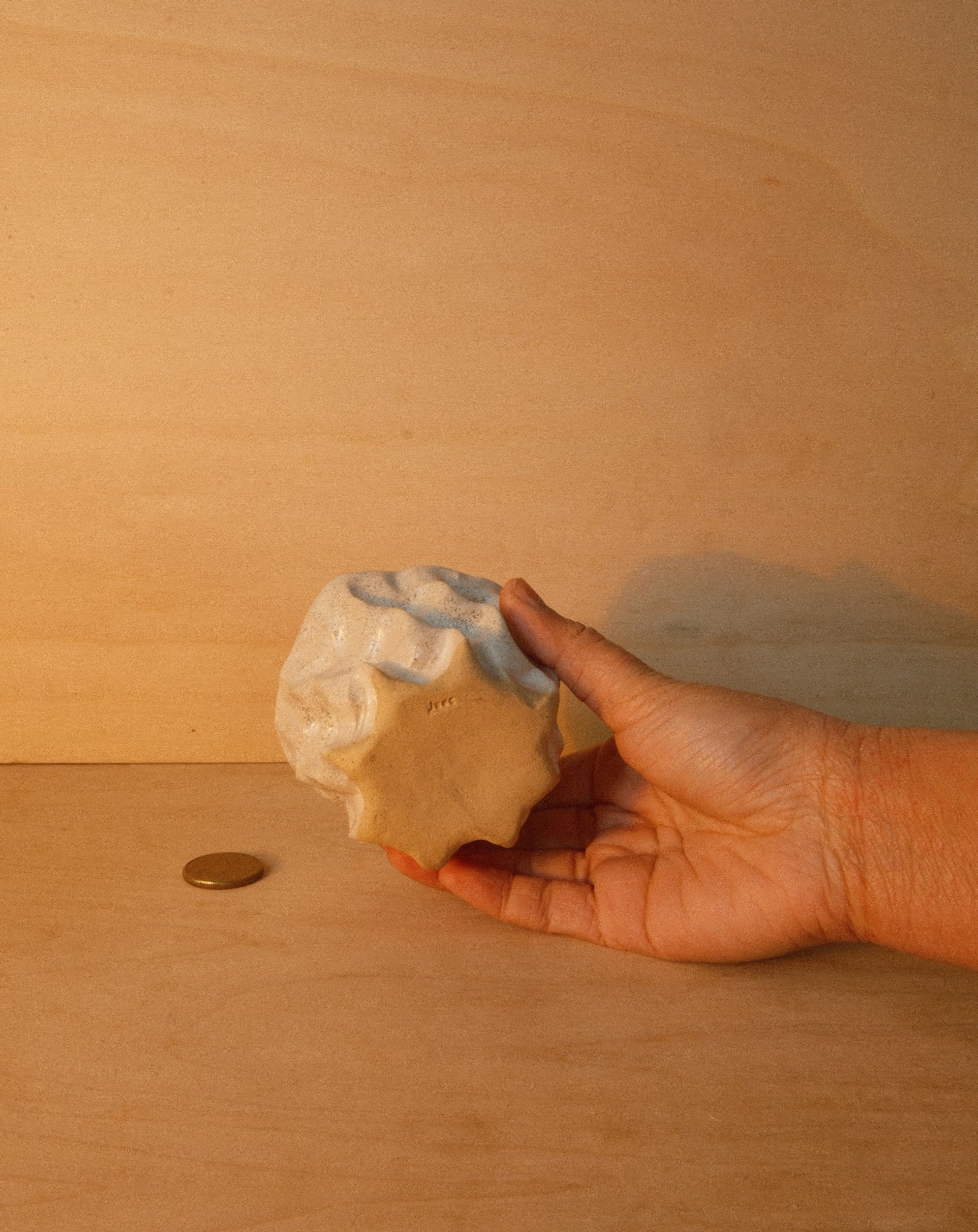 WHITE MOREL CUP 004