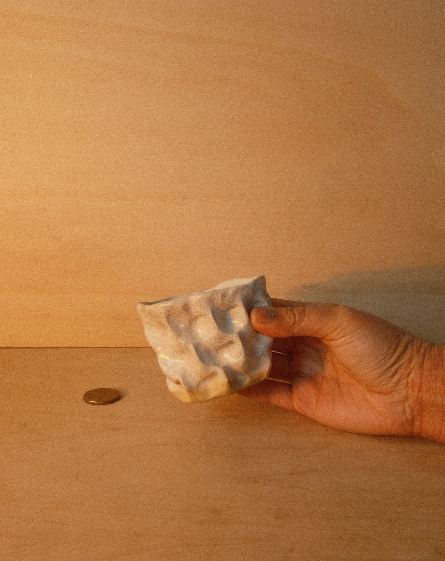 WHITE MOREL CUP 004