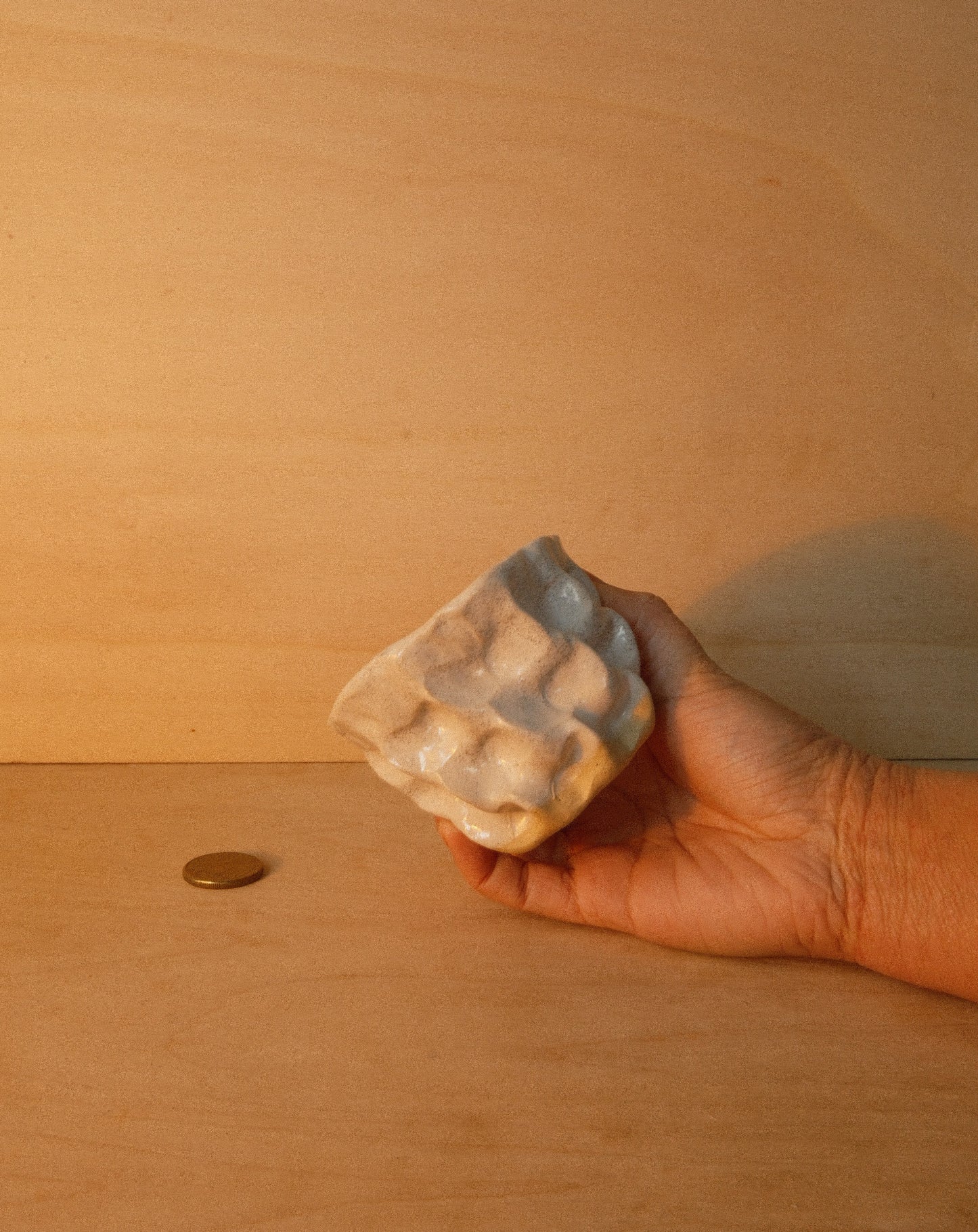 WHITE MOREL CUP 004