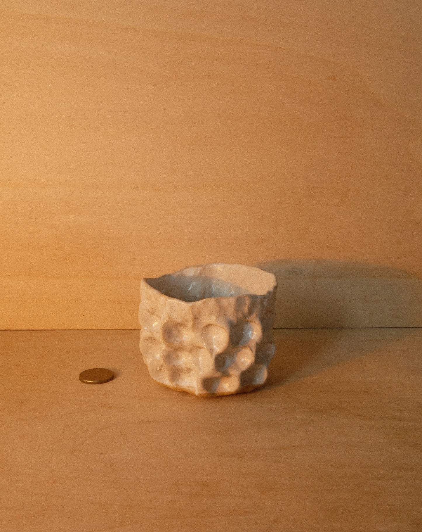 WHITE MOREL CUP 005
