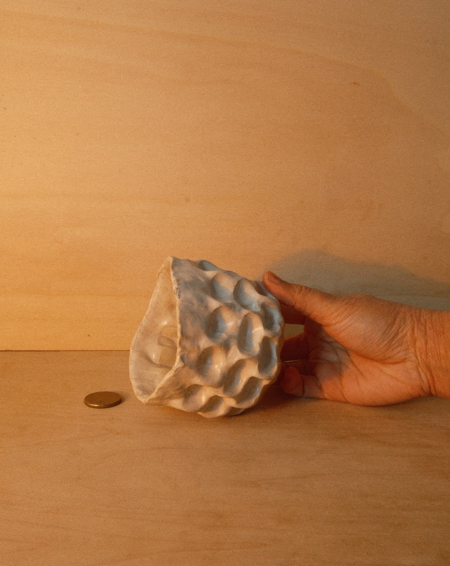 WHITE MOREL CUP 005