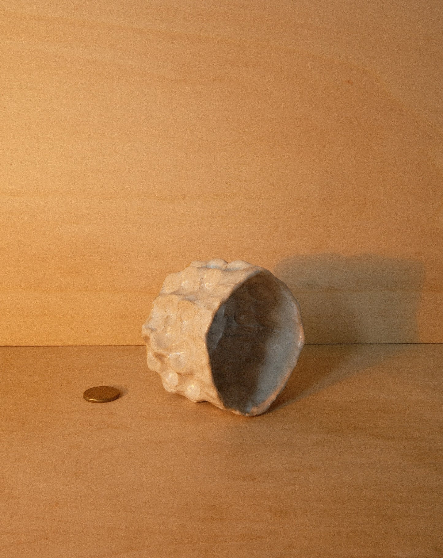 WHITE MOREL CUP 005