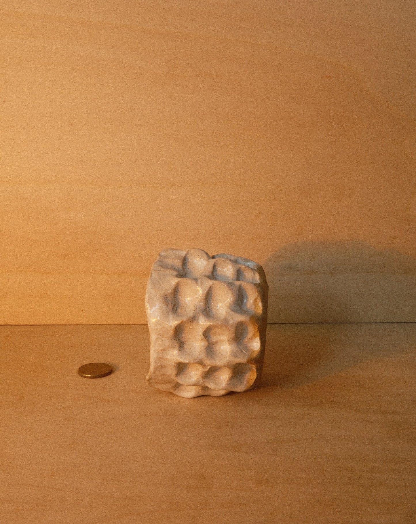 WHITE MOREL CUP 005