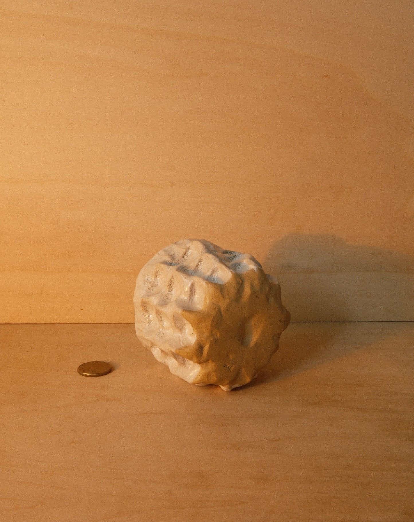 WHITE MOREL CUP 005