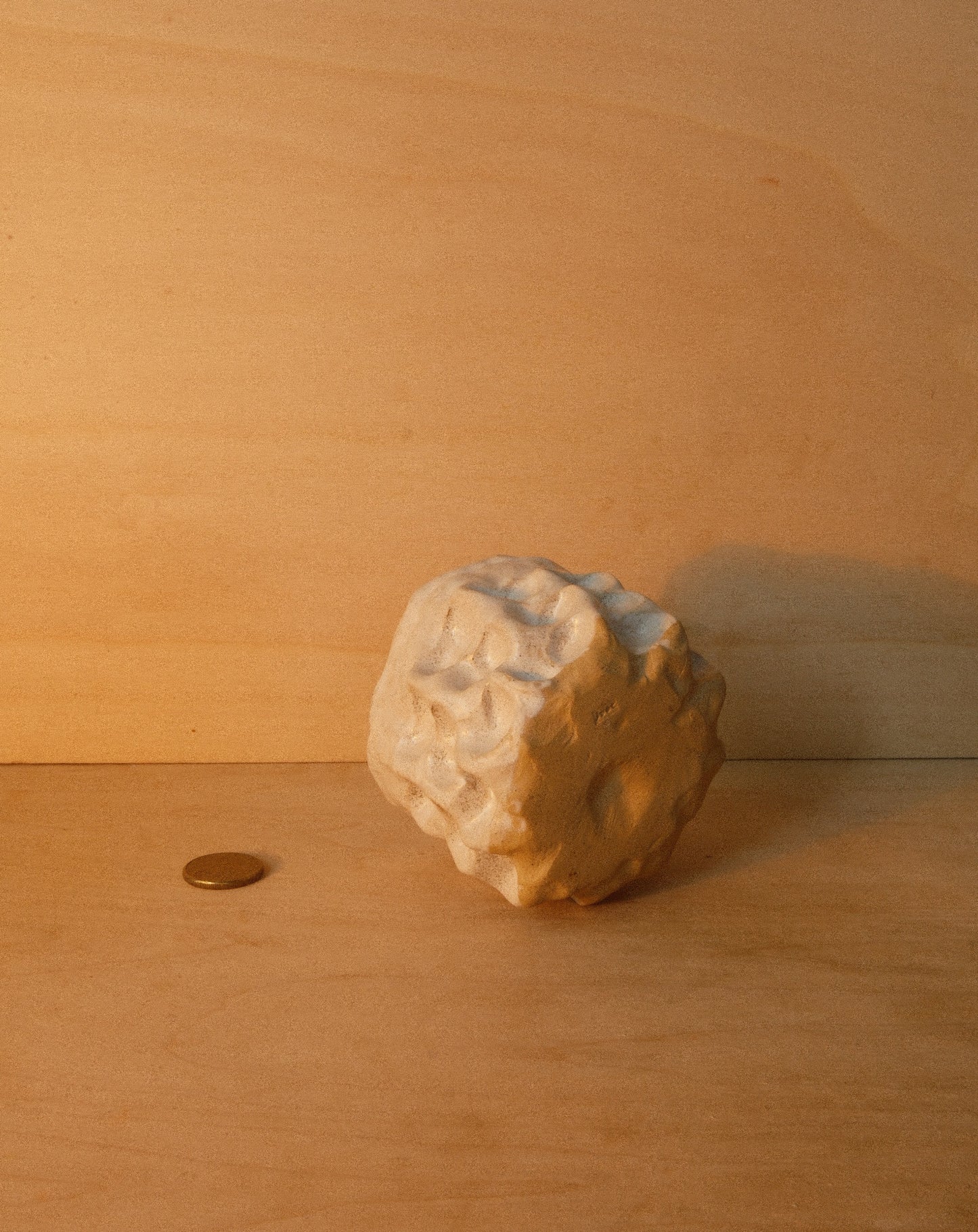 WHITE MOREL CUP 005