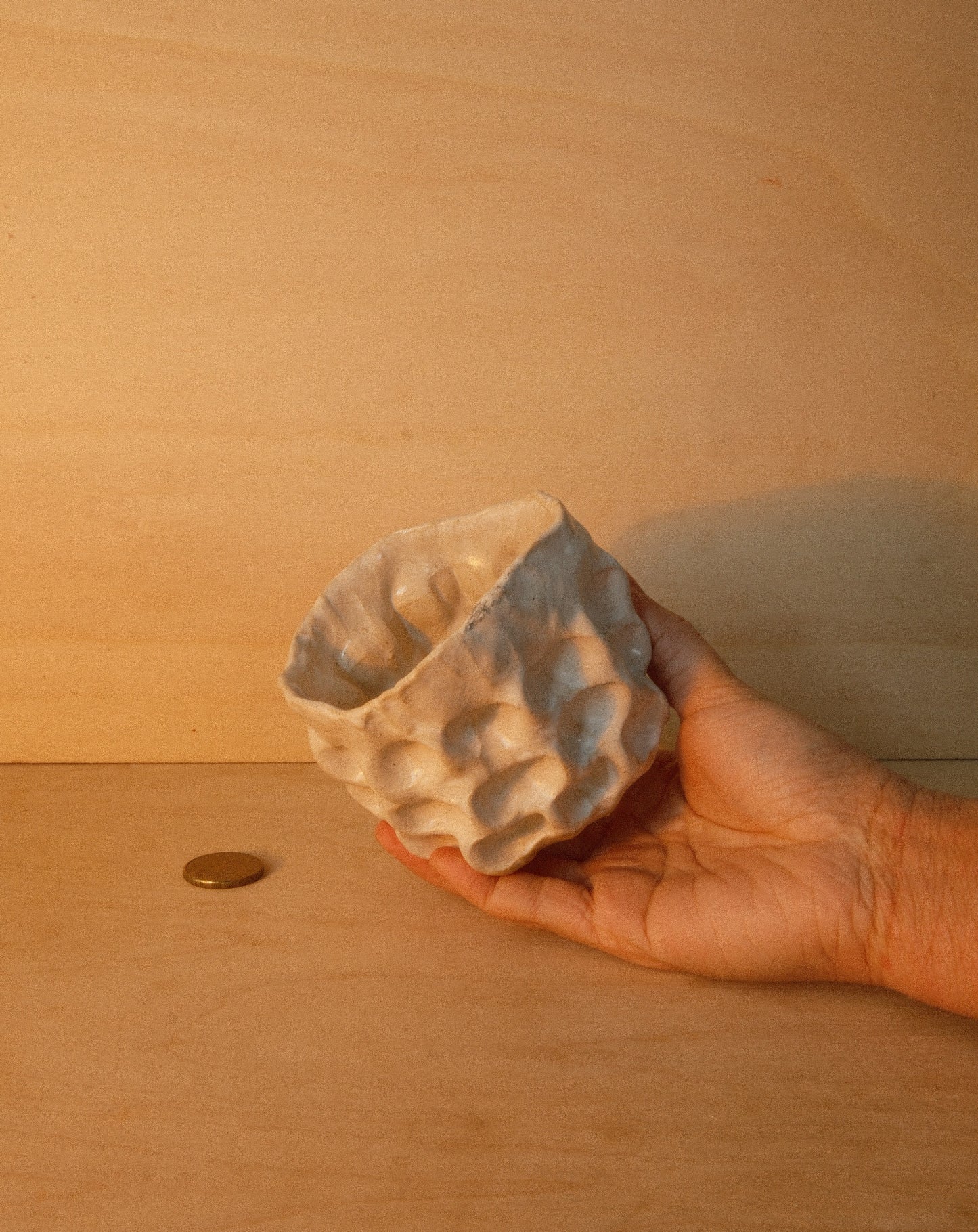 WHITE MOREL CUP 005