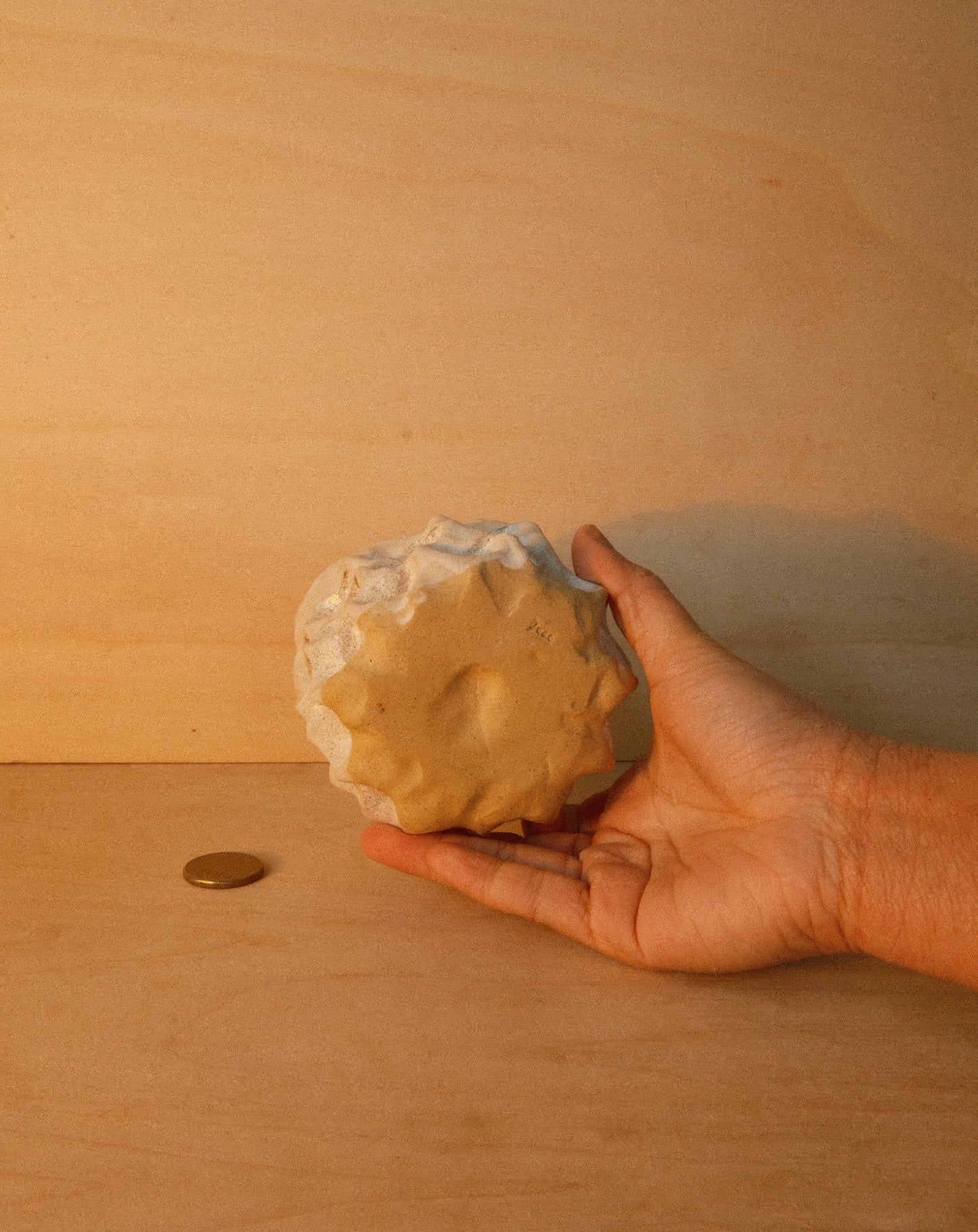 WHITE MOREL CUP 005