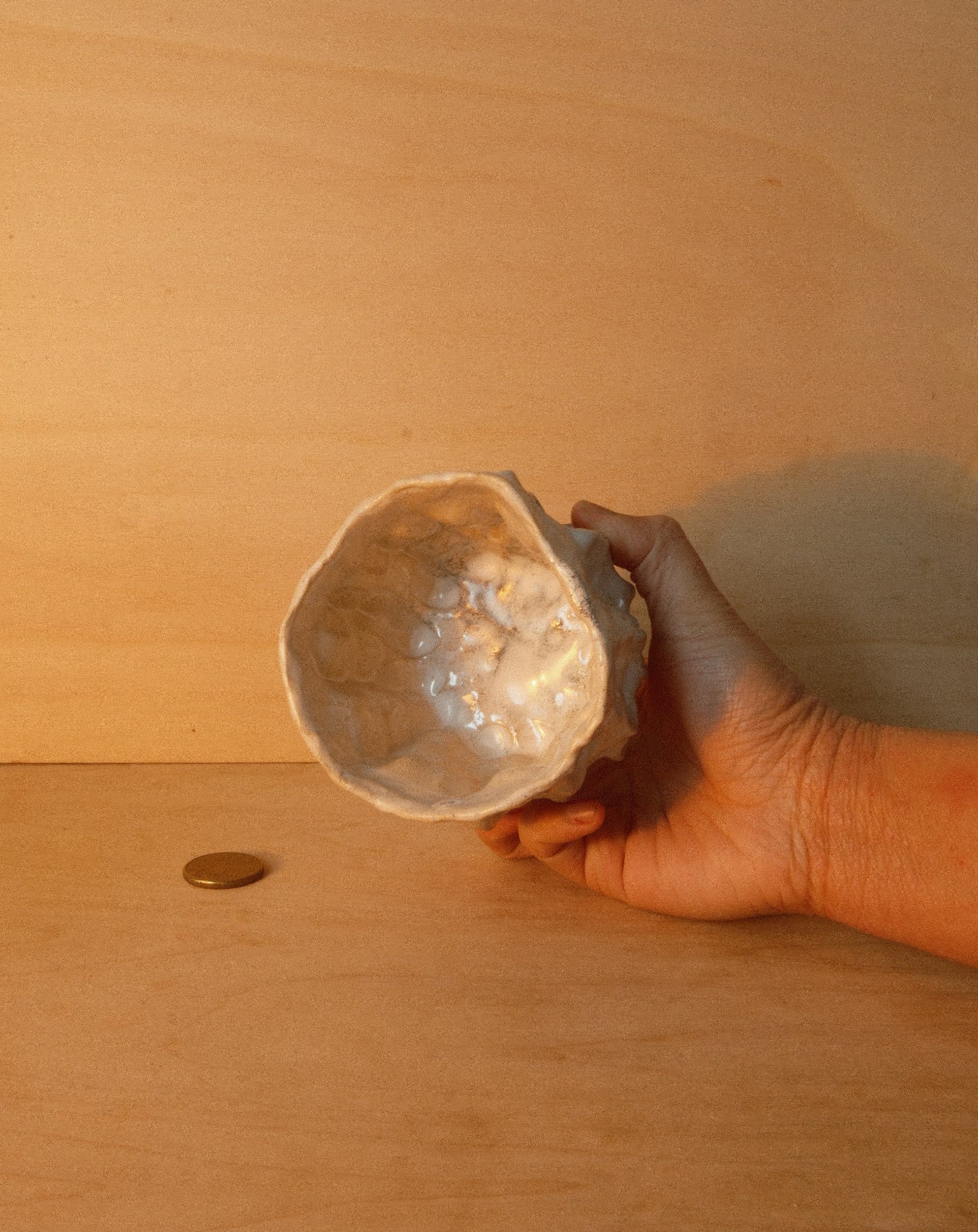 WHITE MOREL CUP 005