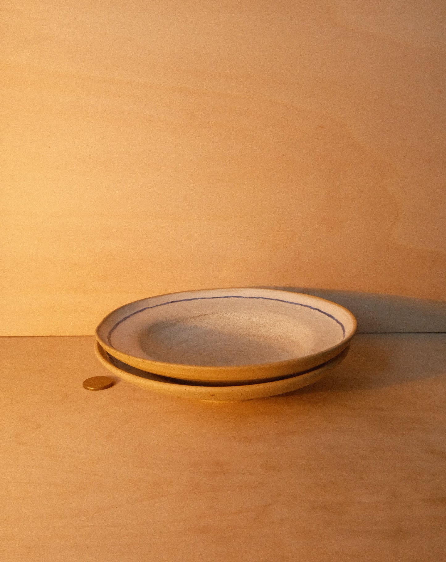 WHITE BLUE LINE PLATE