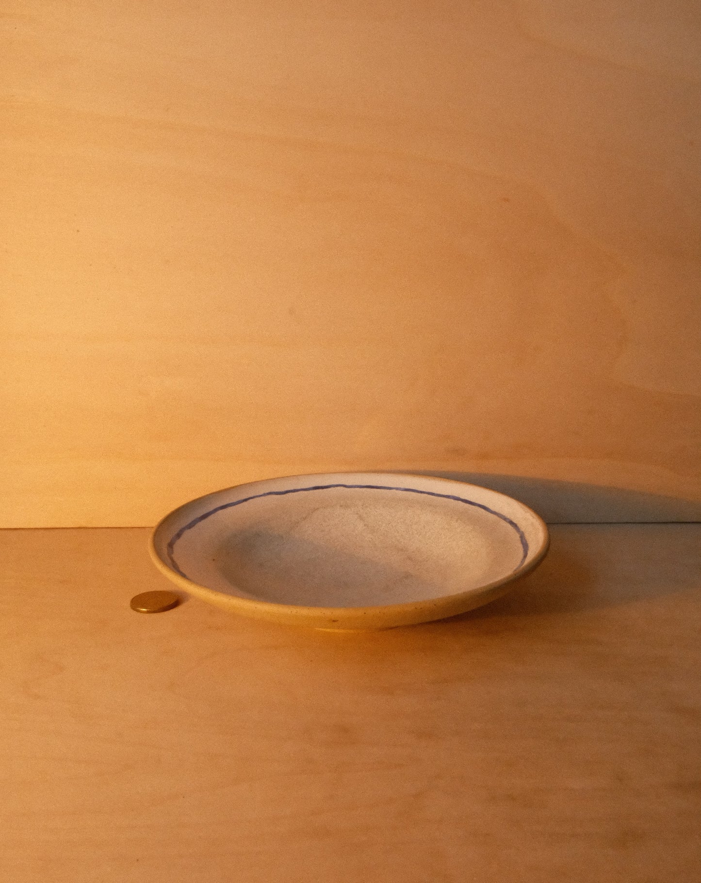 WHITE BLUE LINE PLATE