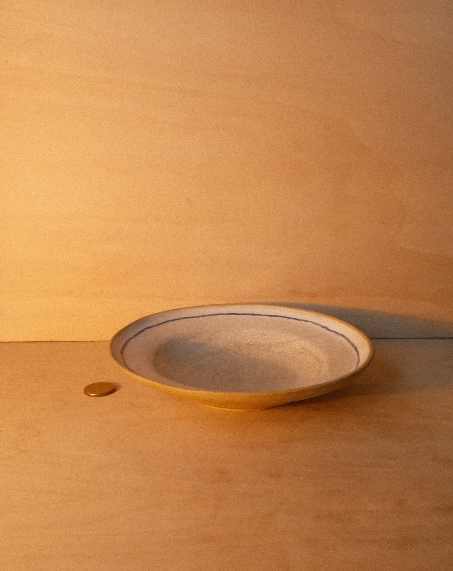 WHITE BLUE LINE PLATE