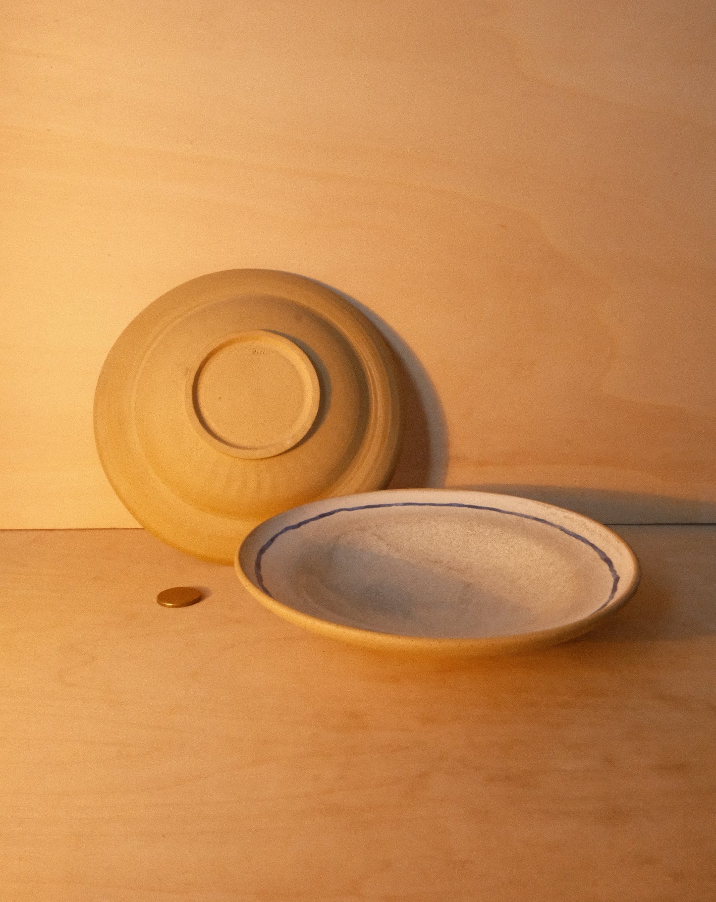 WHITE BLUE LINE PLATE