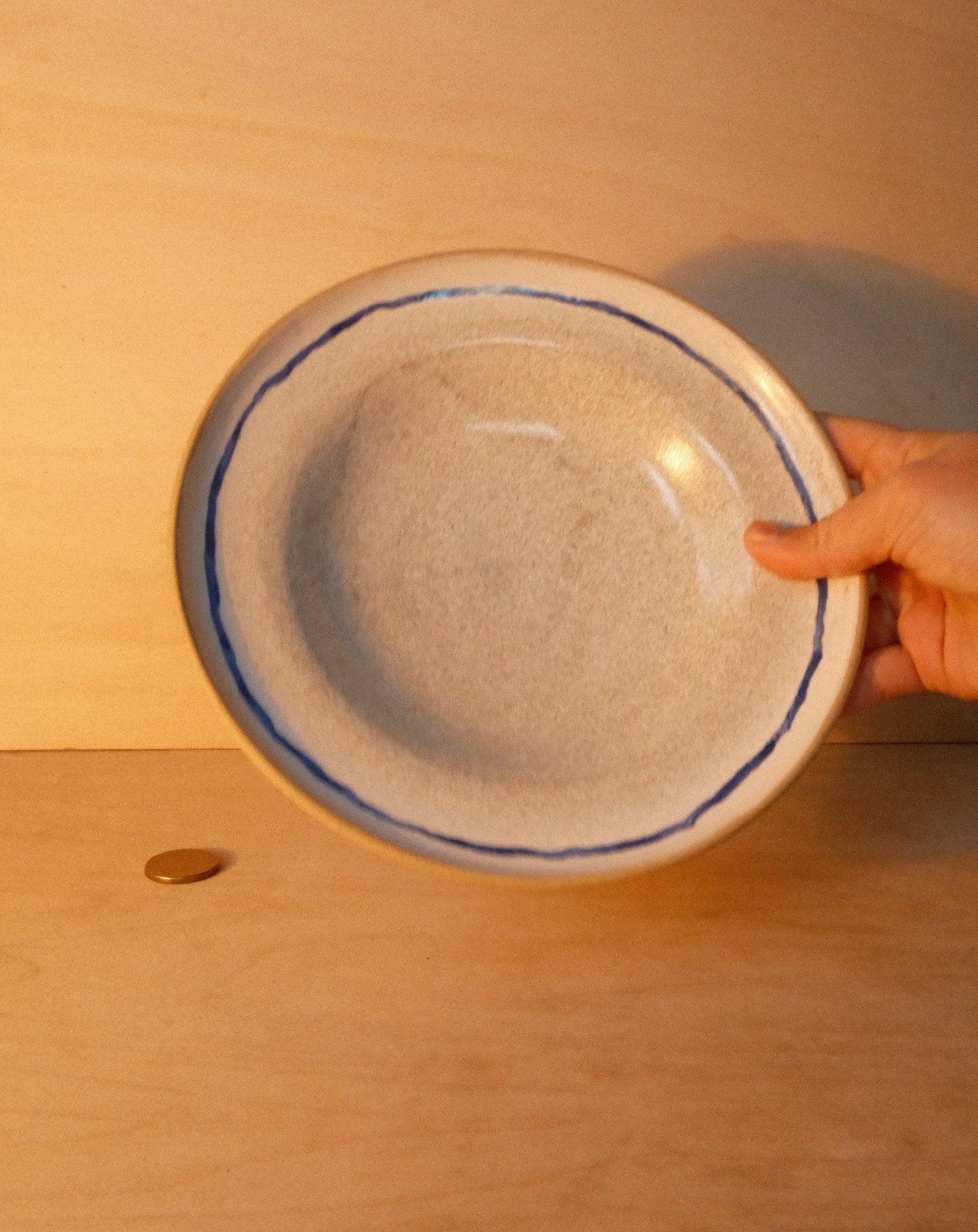 WHITE BLUE LINE PLATE