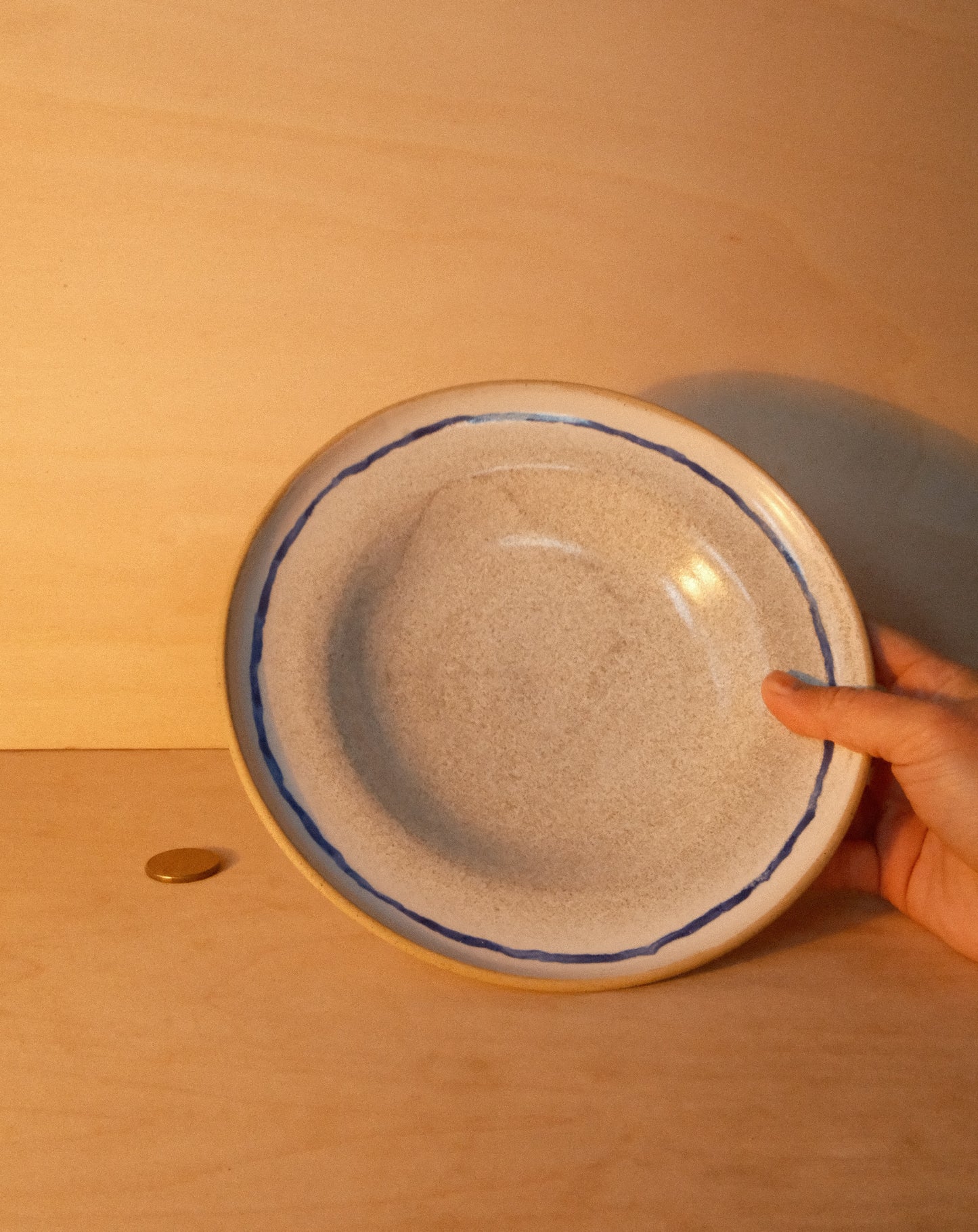 WHITE BLUE LINE PLATE
