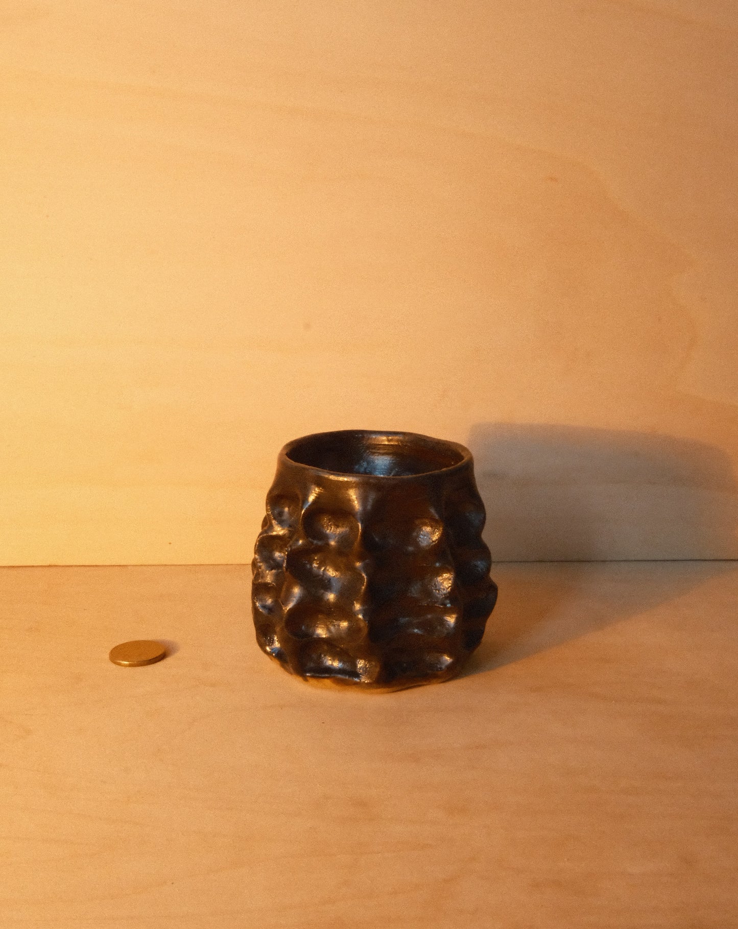 BLACK MOREL CUP 003