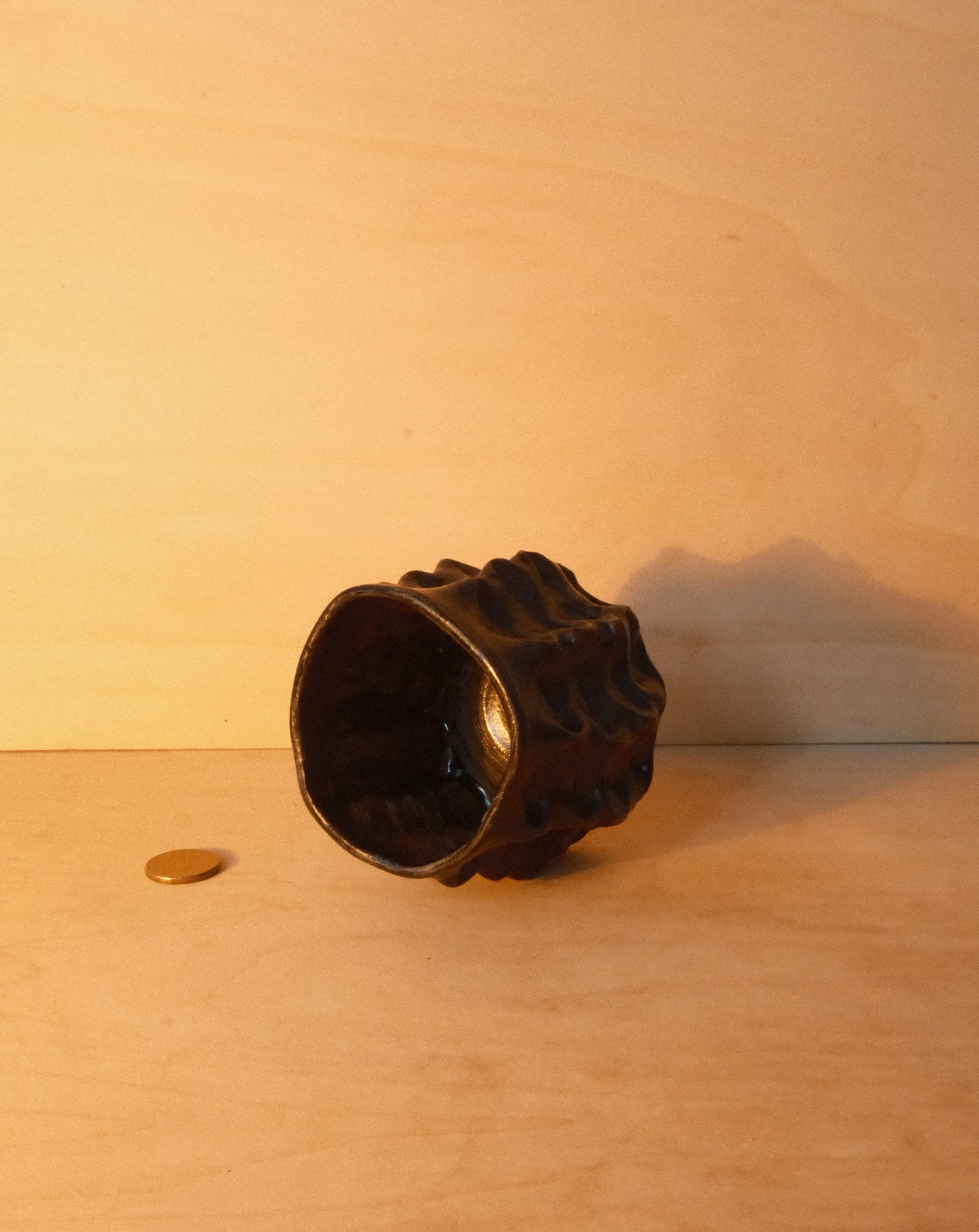 BLACK MOREL CUP 003