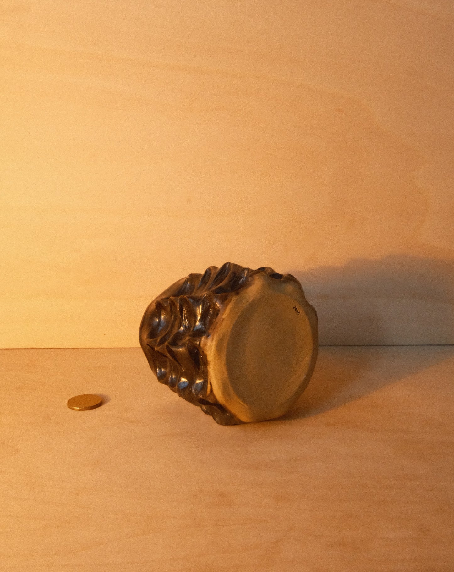 BLACK MOREL CUP 003