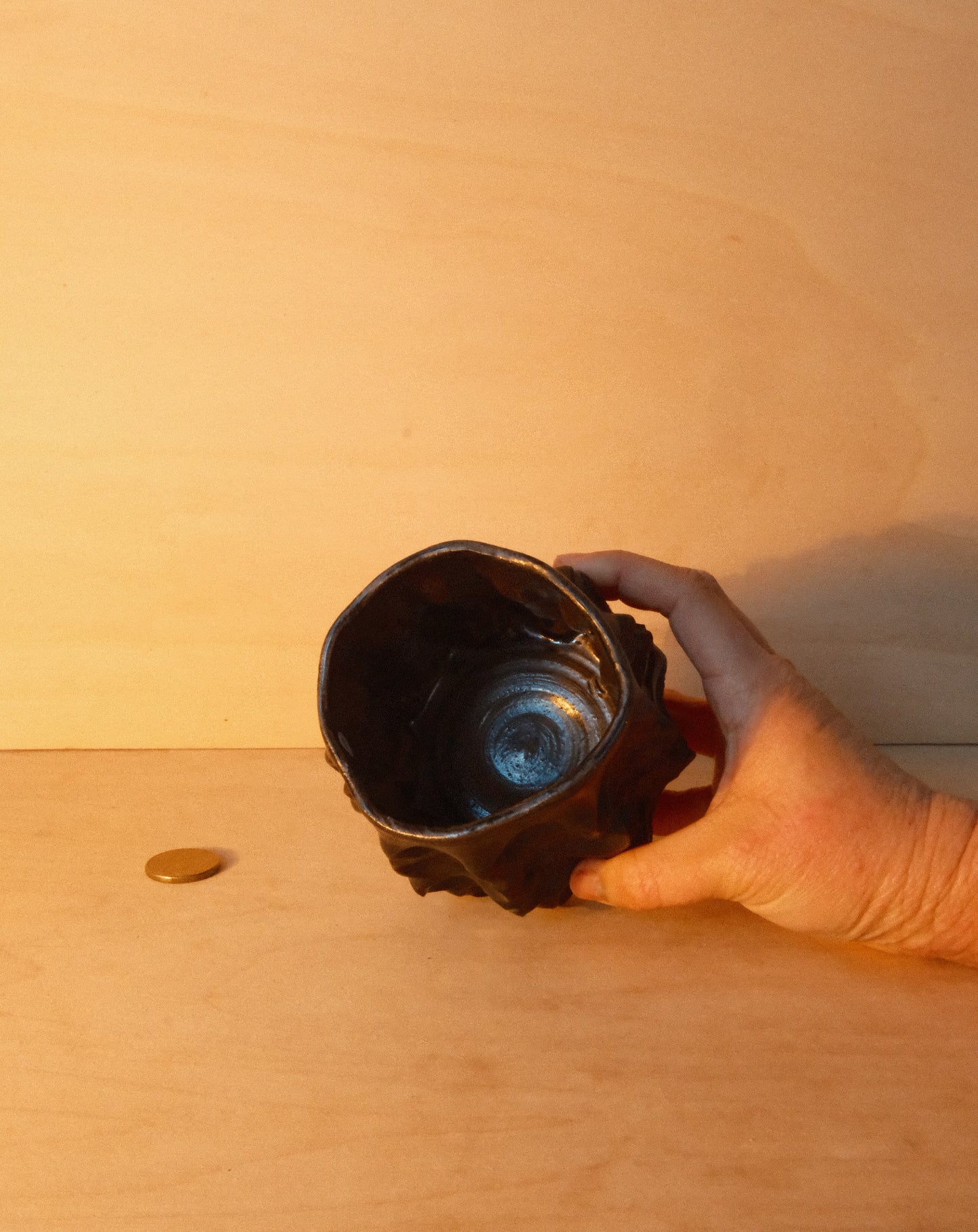 BLACK MOREL CUP 003