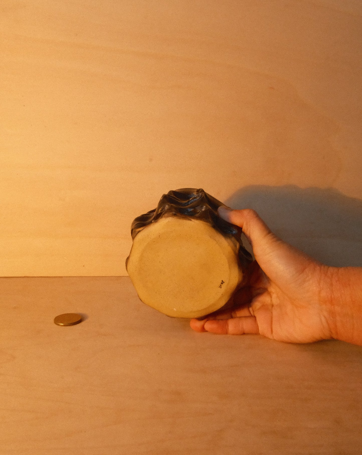 BLACK MOREL CUP 003