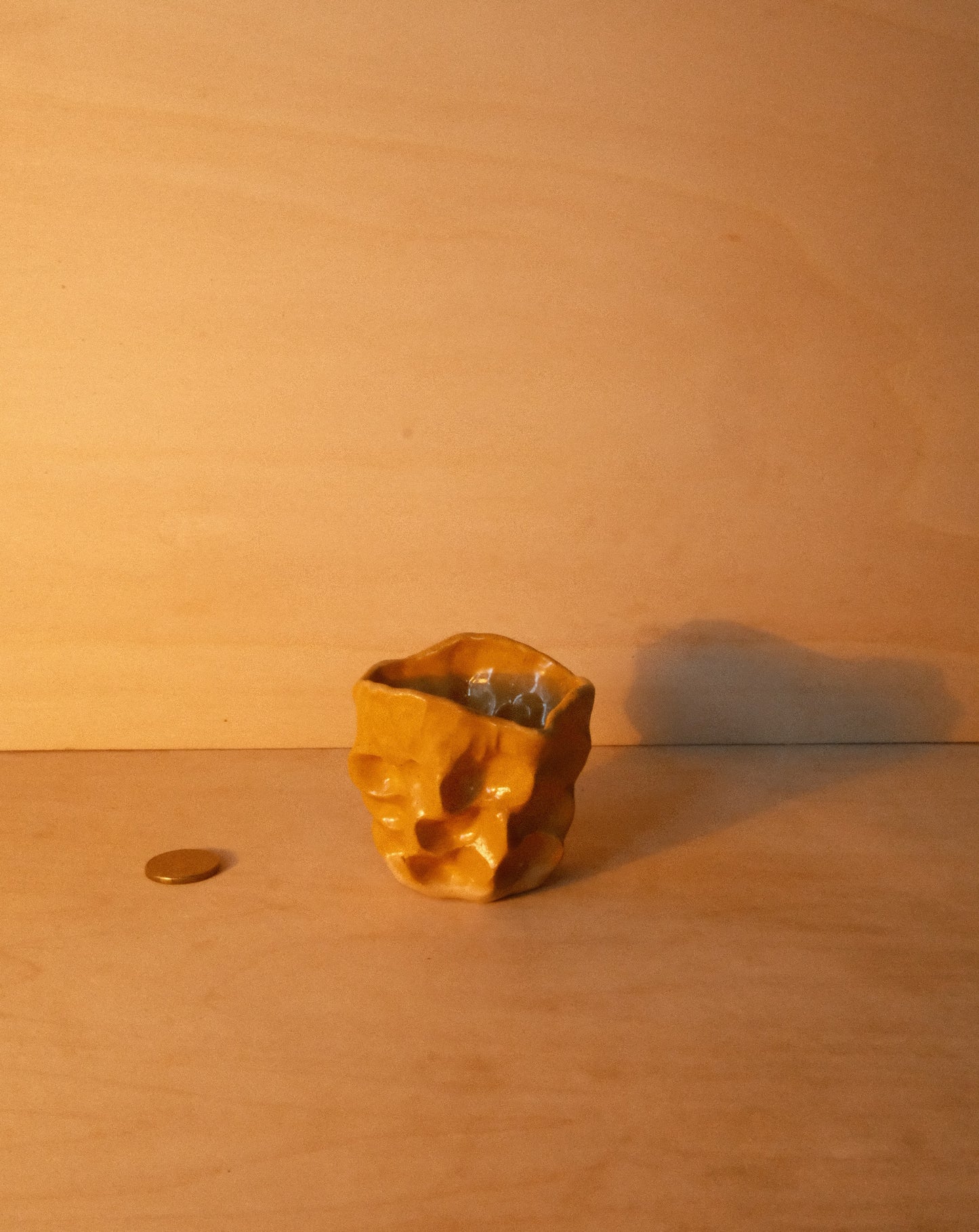 HONEY MOREL CUP 002