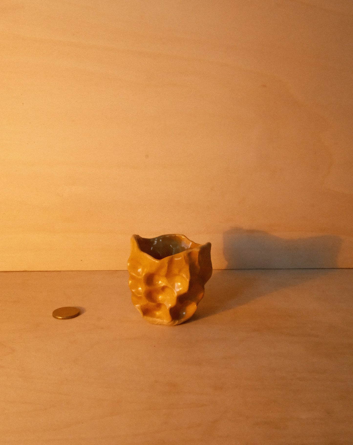 HONEY MOREL CUP 002