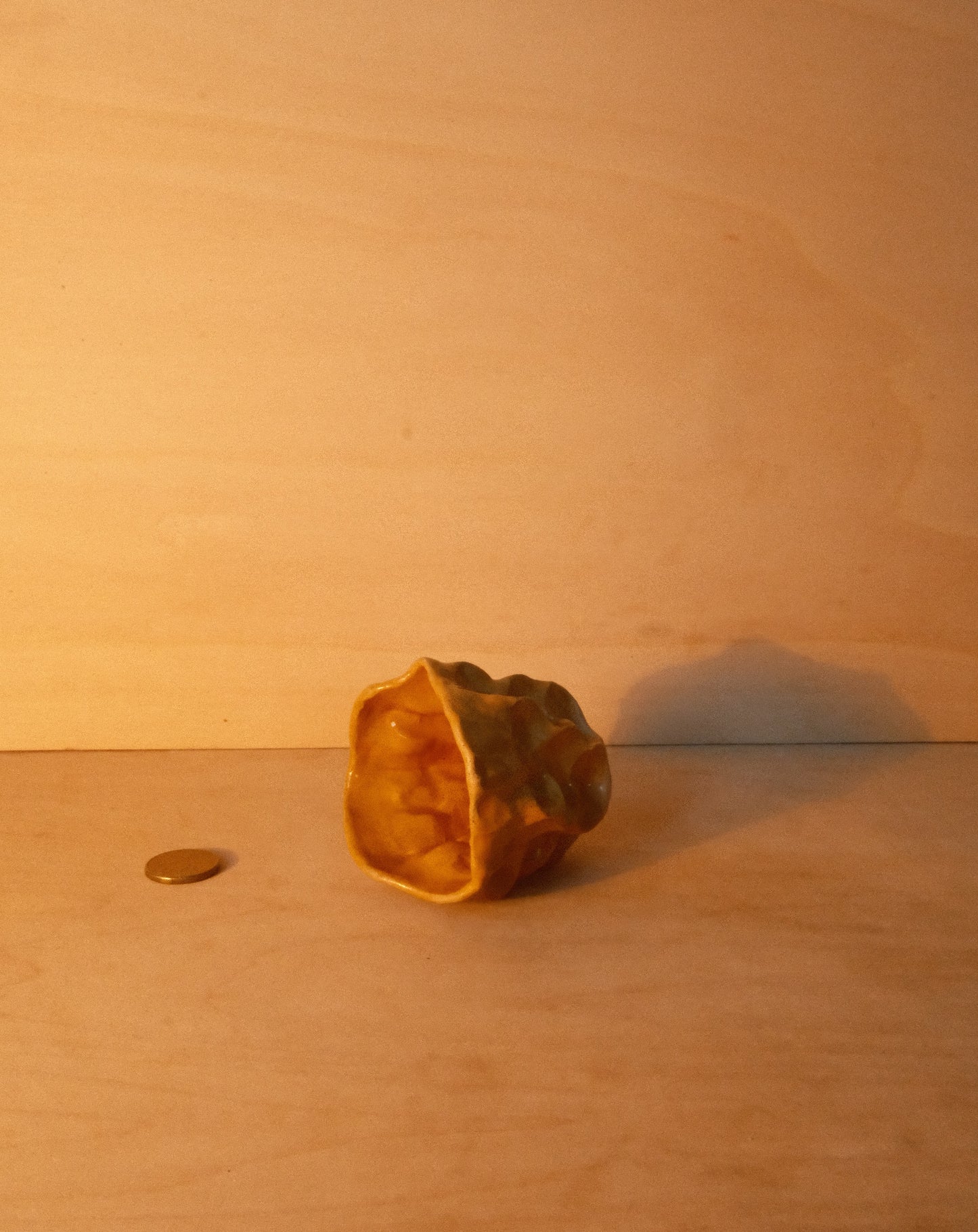 HONEY MOREL CUP 002