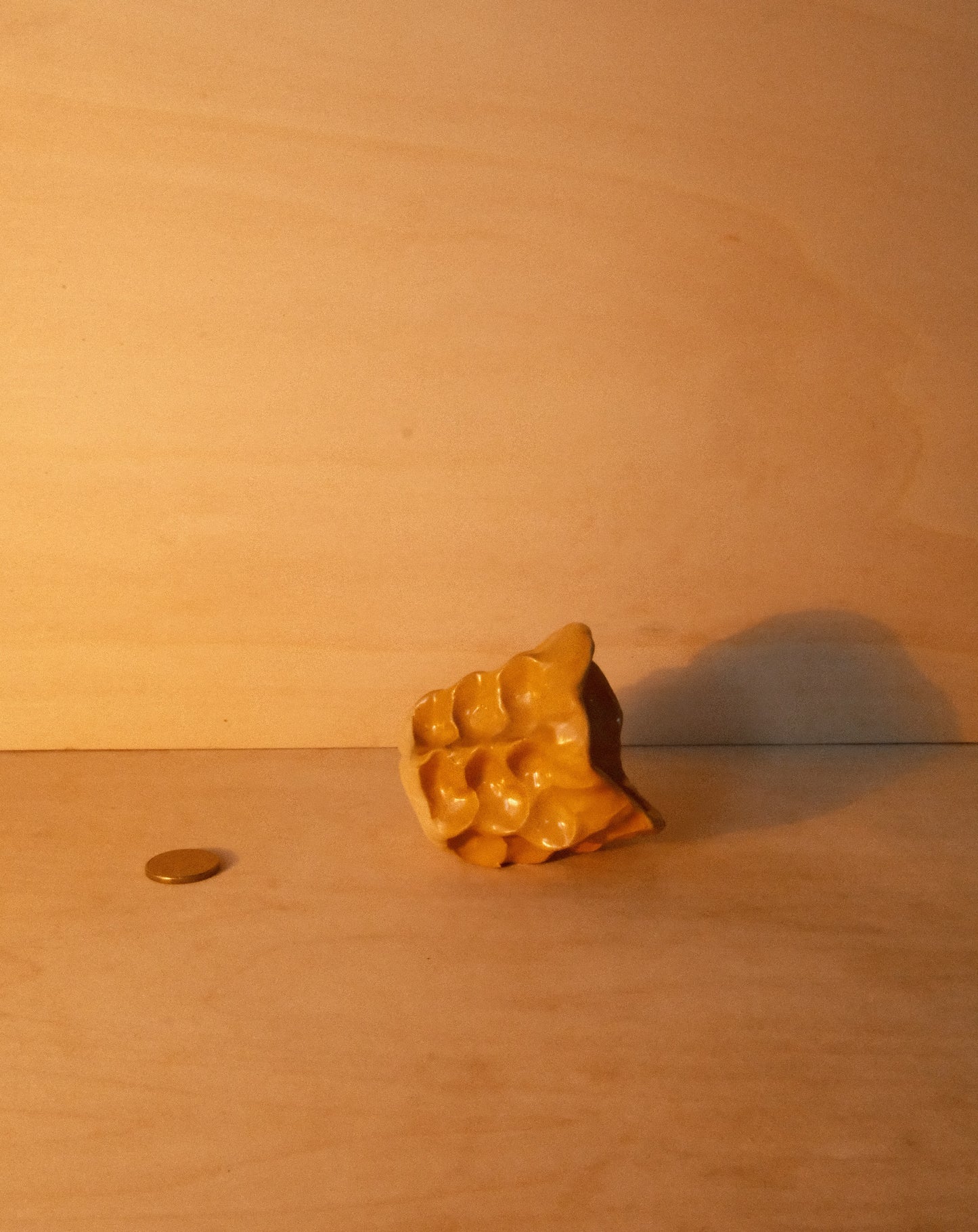 HONEY MOREL CUP 002