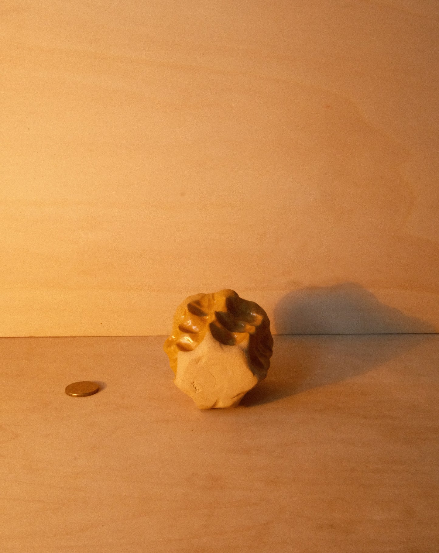 HONEY MOREL CUP 002