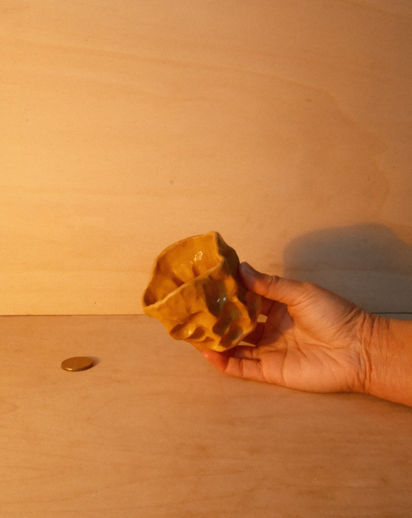 HONEY MOREL CUP 002
