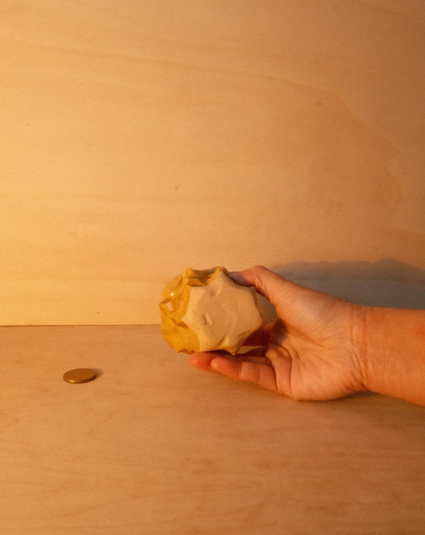 HONEY MOREL CUP 002