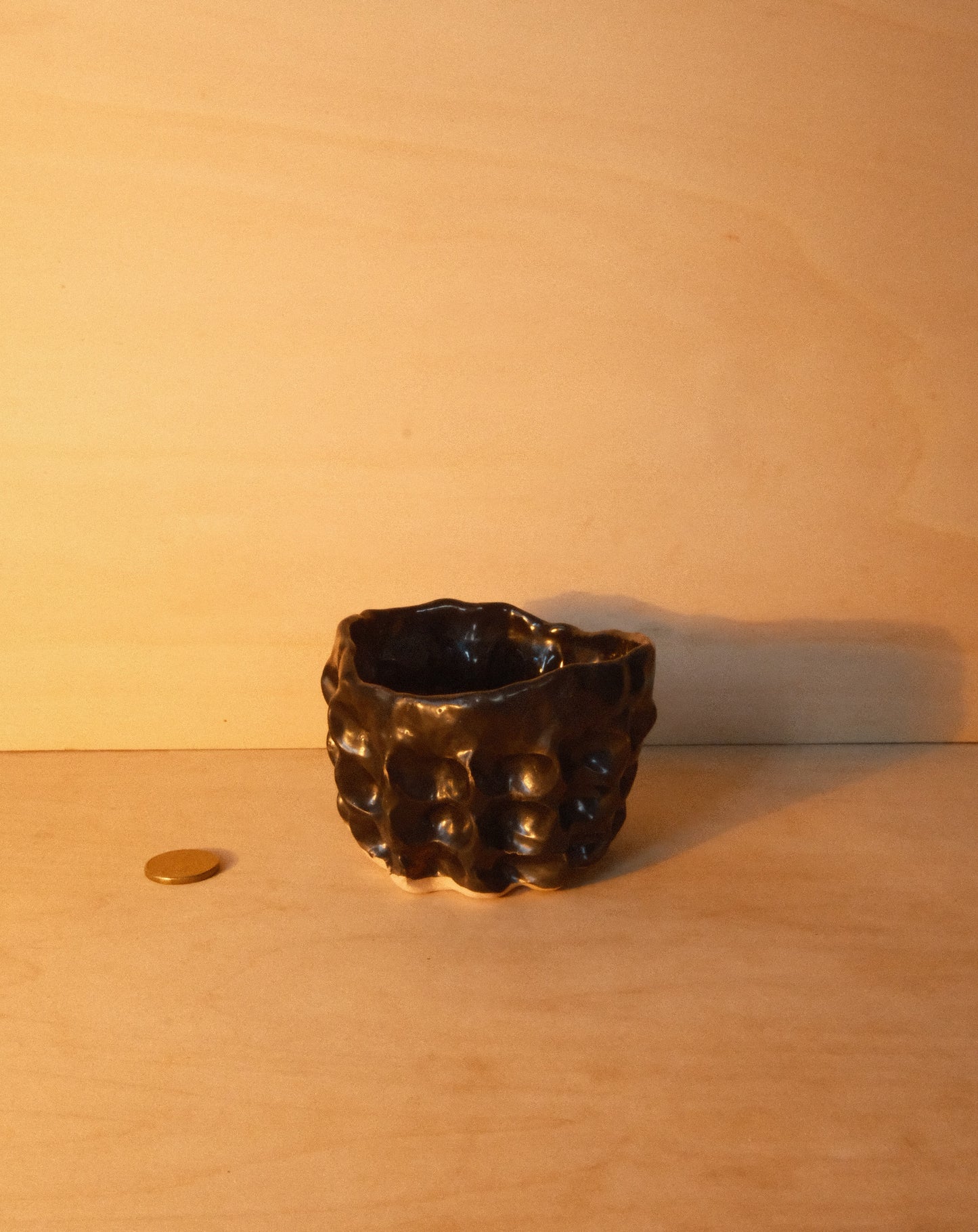 BLACK MOREL CUP 004