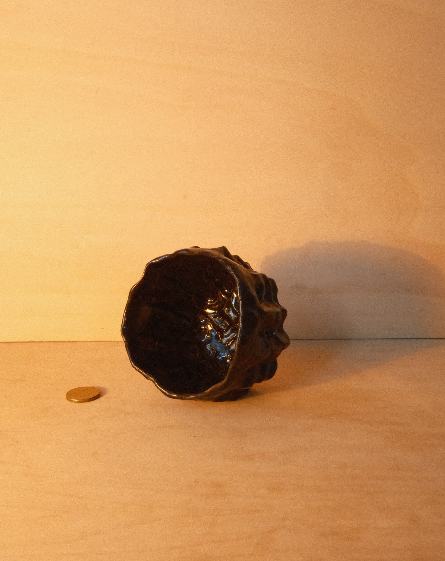 BLACK MOREL CUP 004