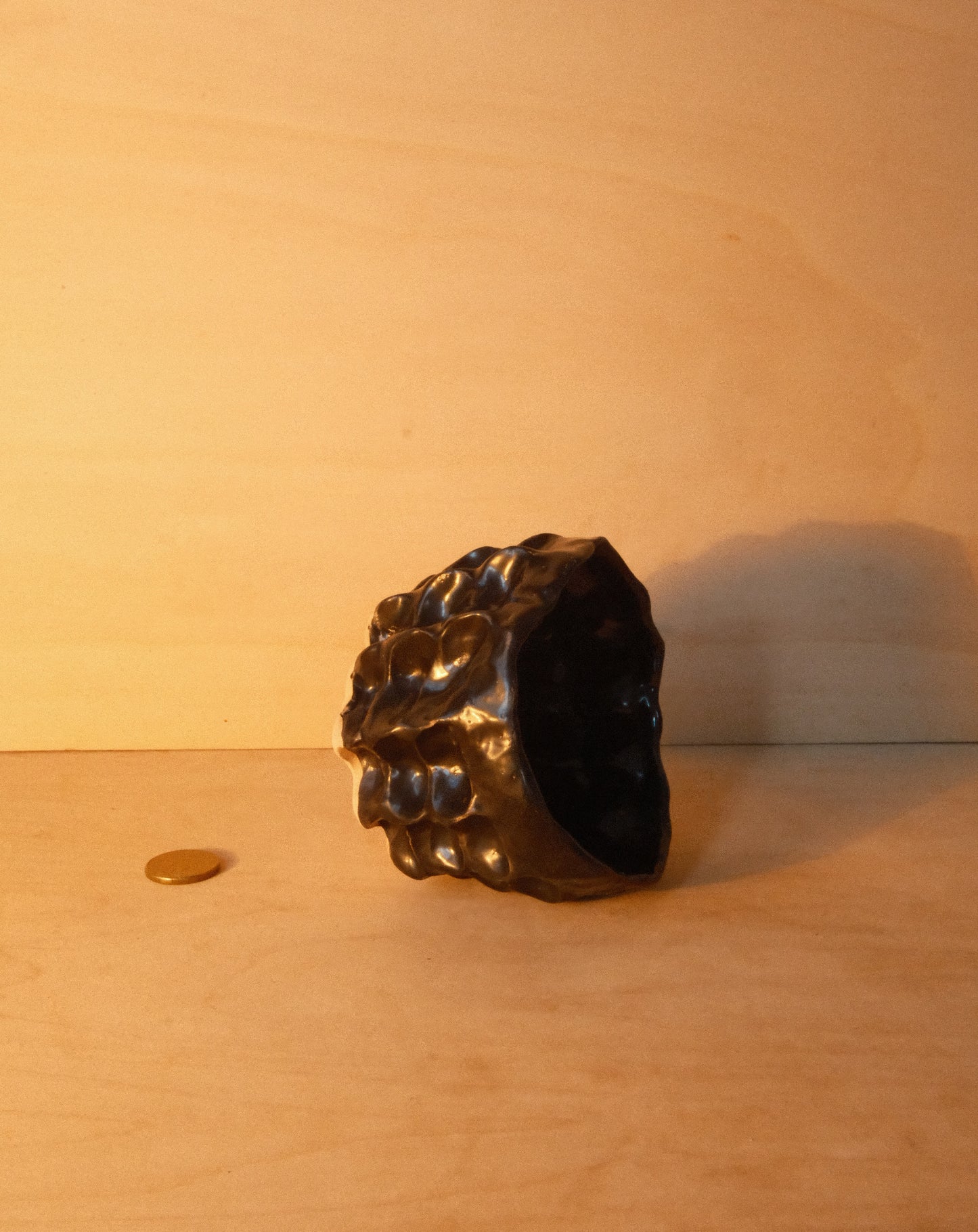 BLACK MOREL CUP 004