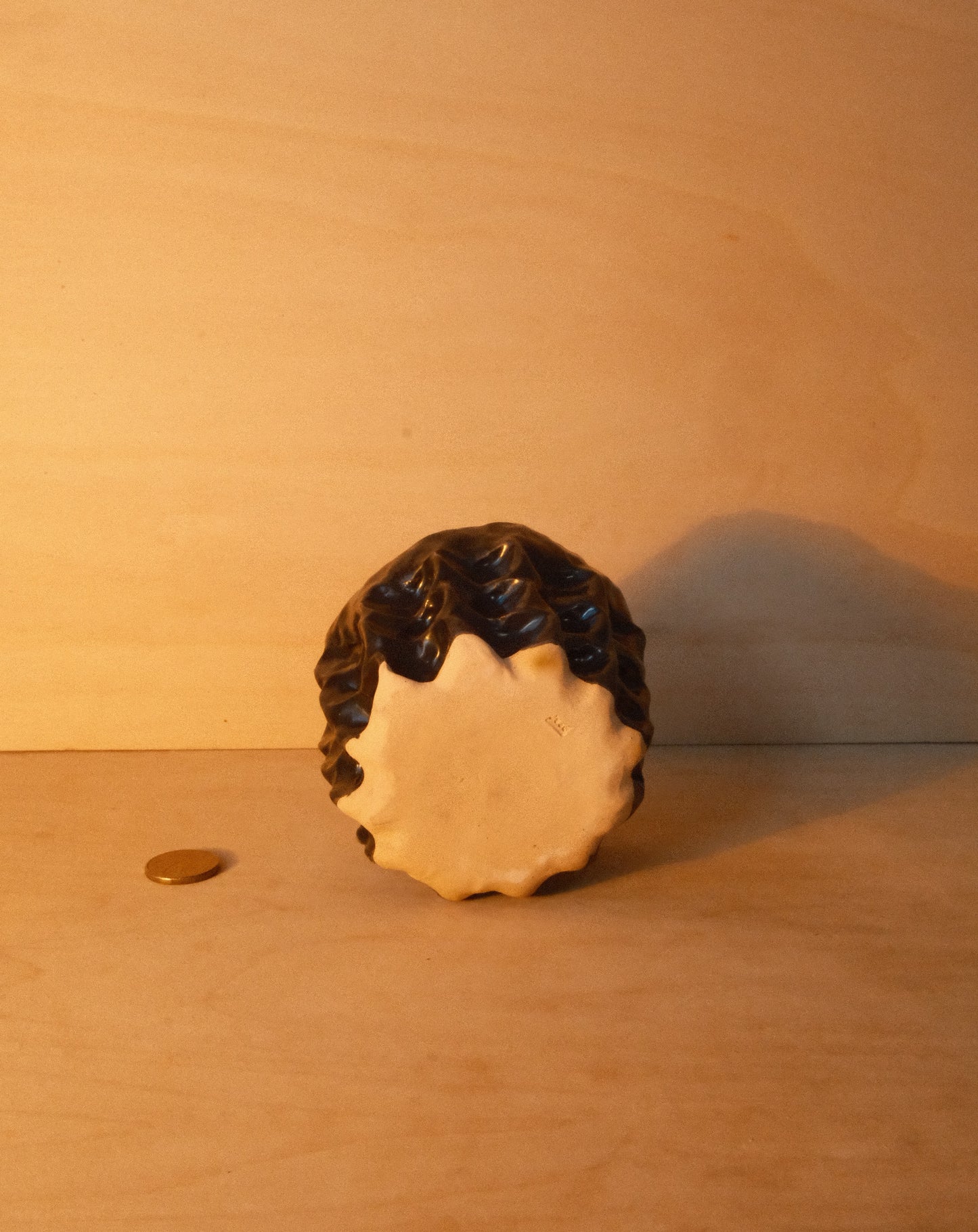 BLACK MOREL CUP 004