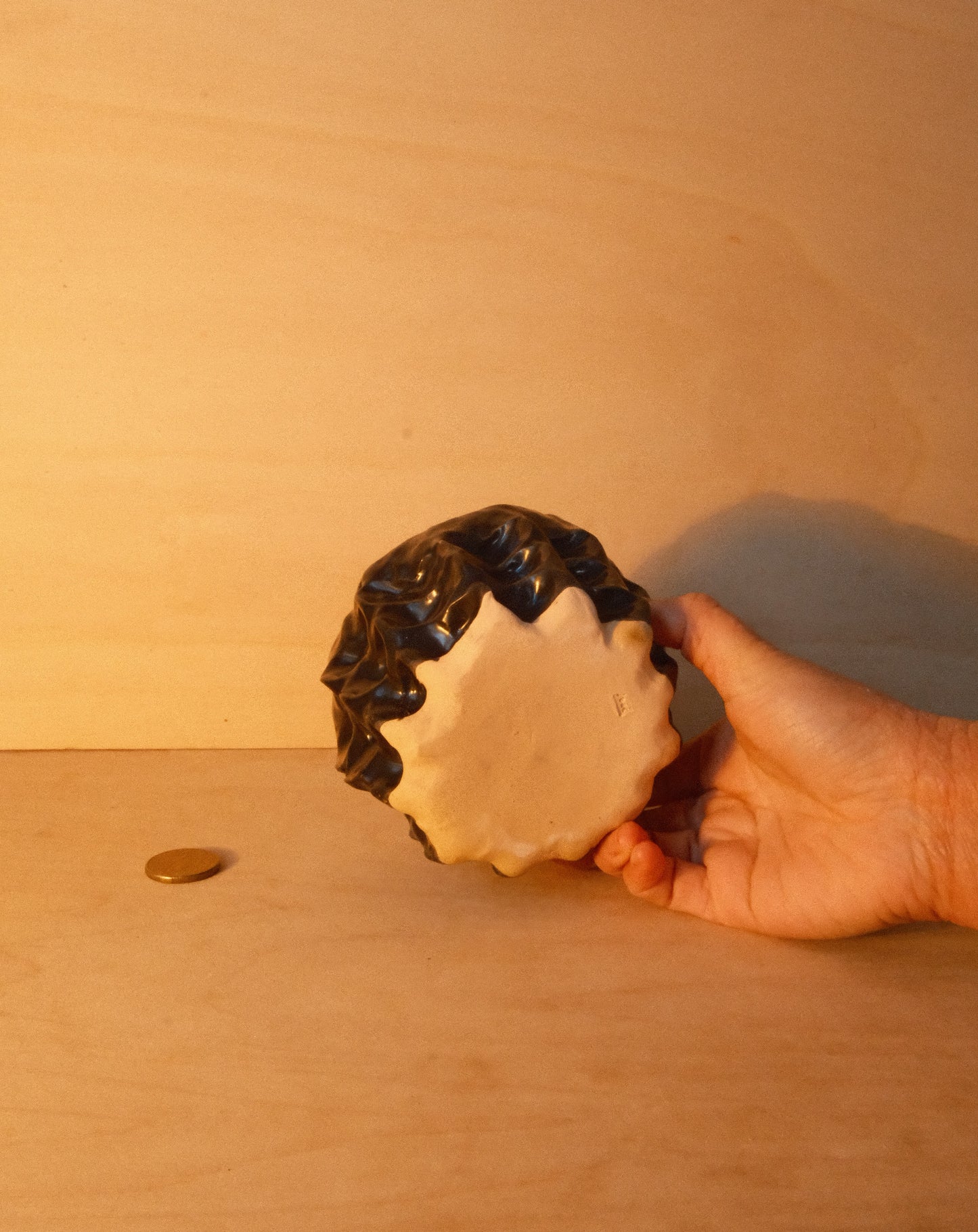 BLACK MOREL CUP 004