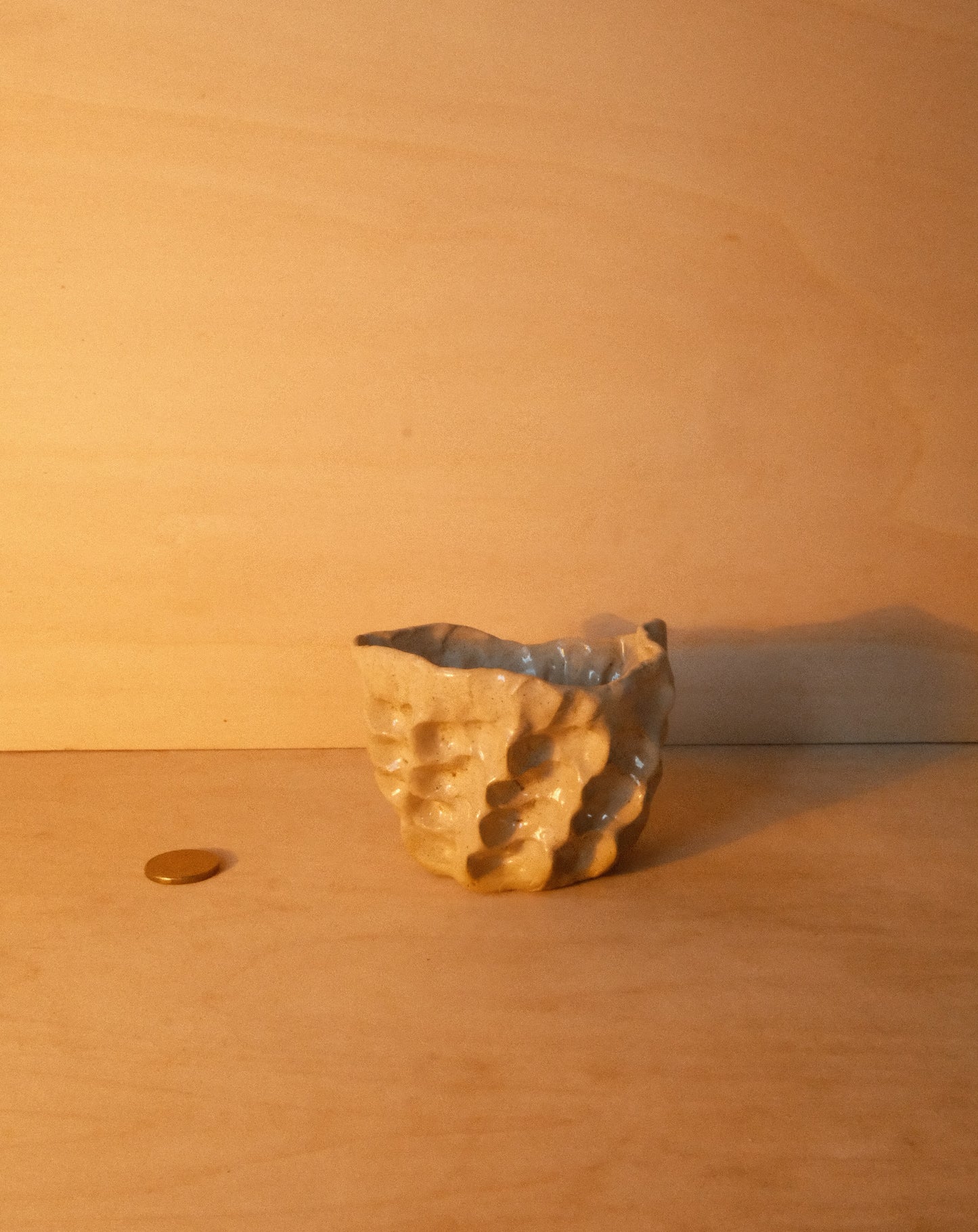 DUSK MOREL CUP 003