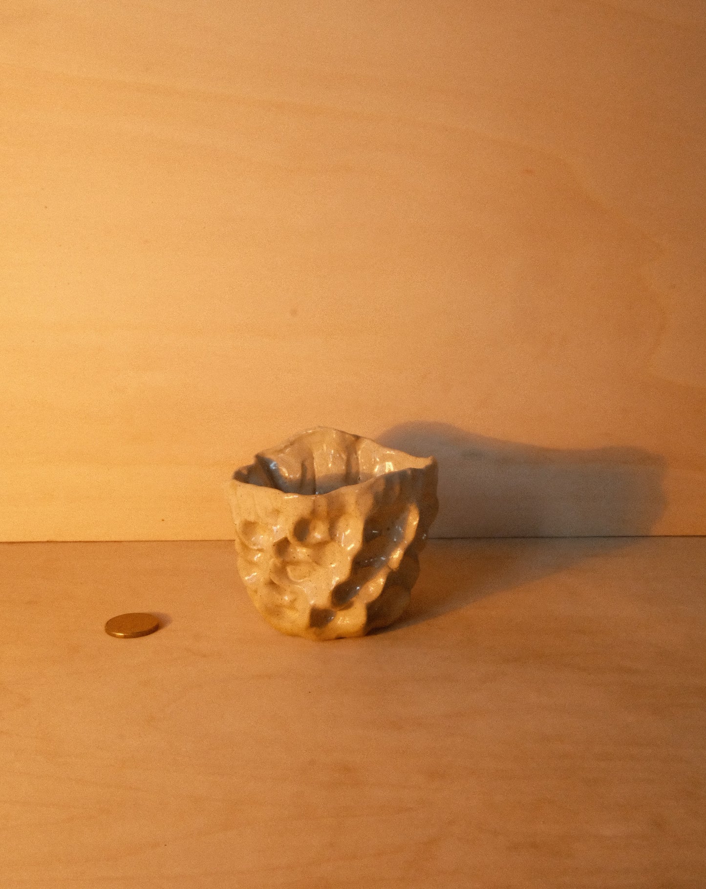 DUSK MOREL CUP 003