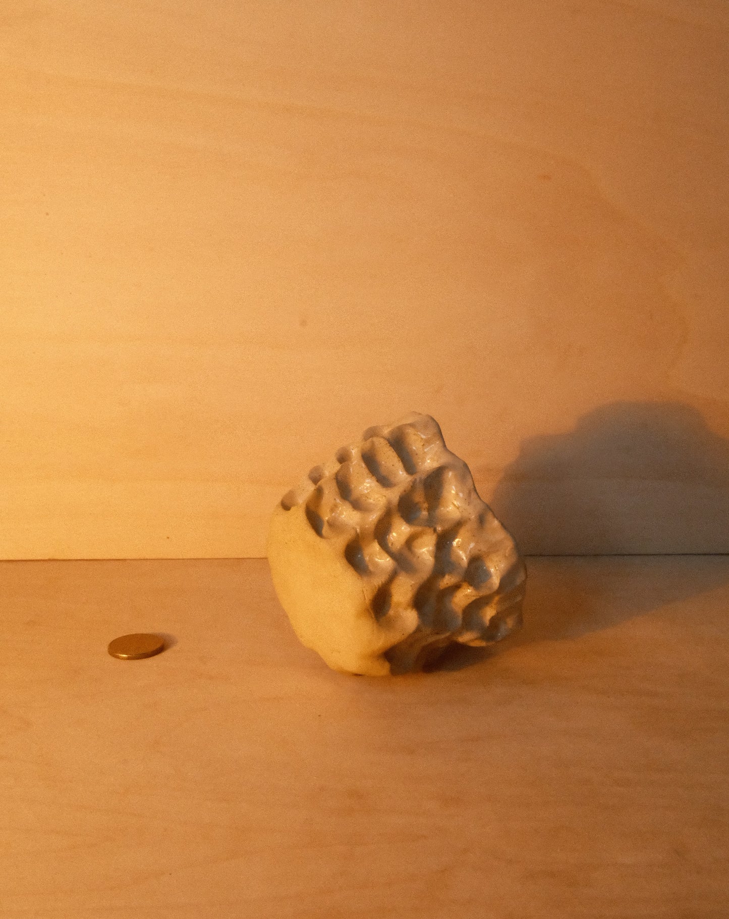 DUSK MOREL CUP 003