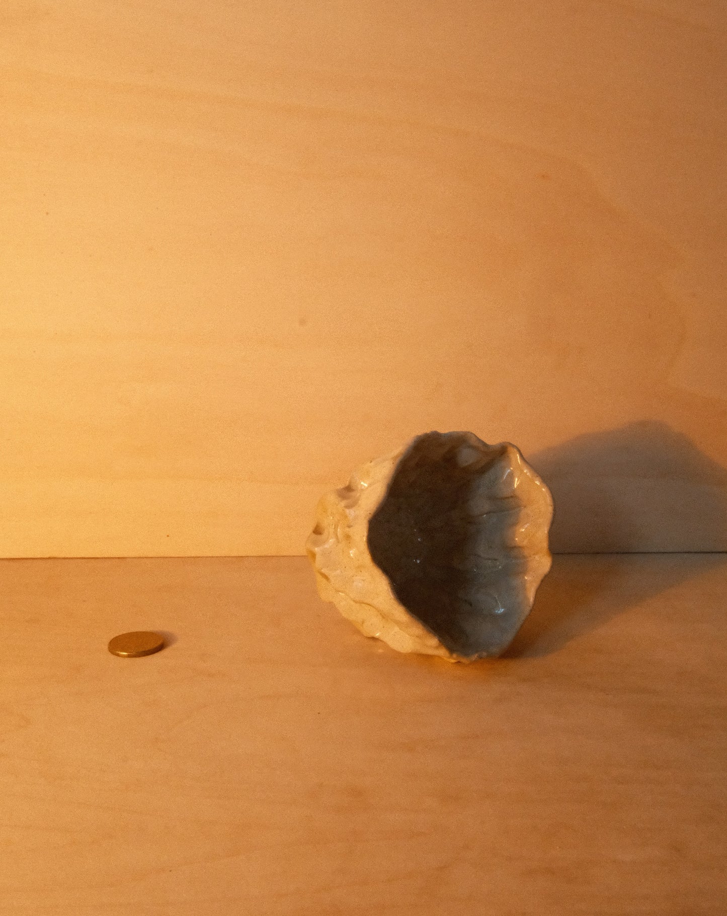 DUSK MOREL CUP 003