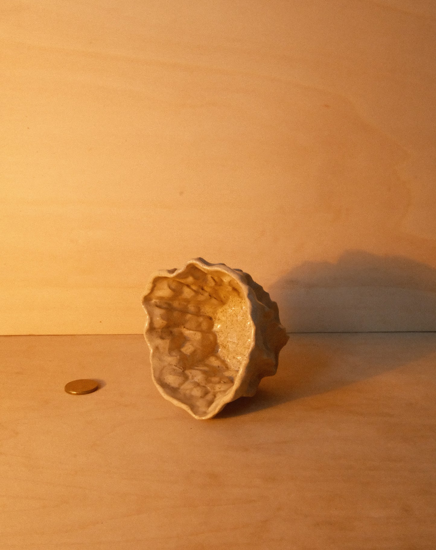 DUSK MOREL CUP 003